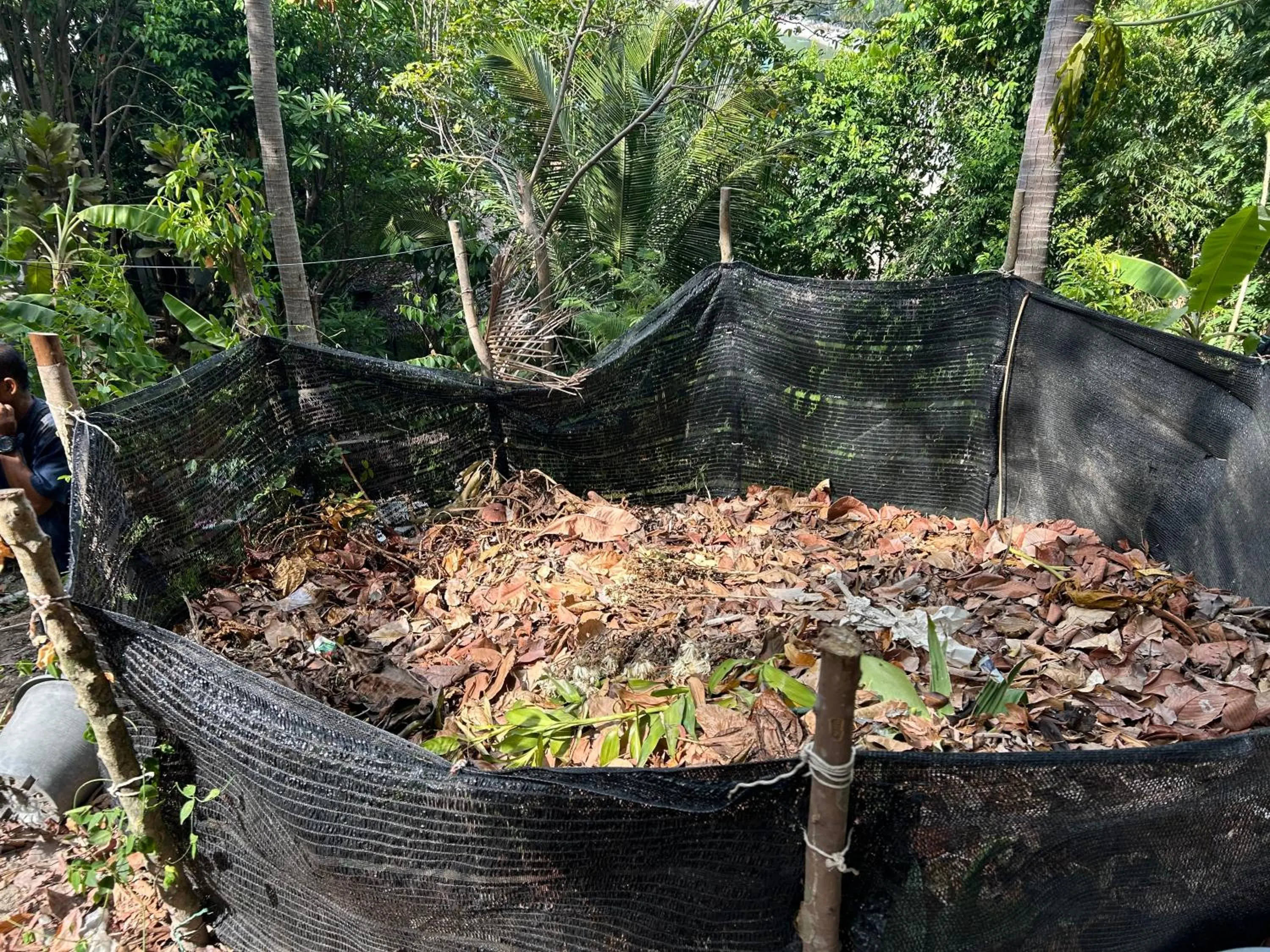 Cookies Salad Resort