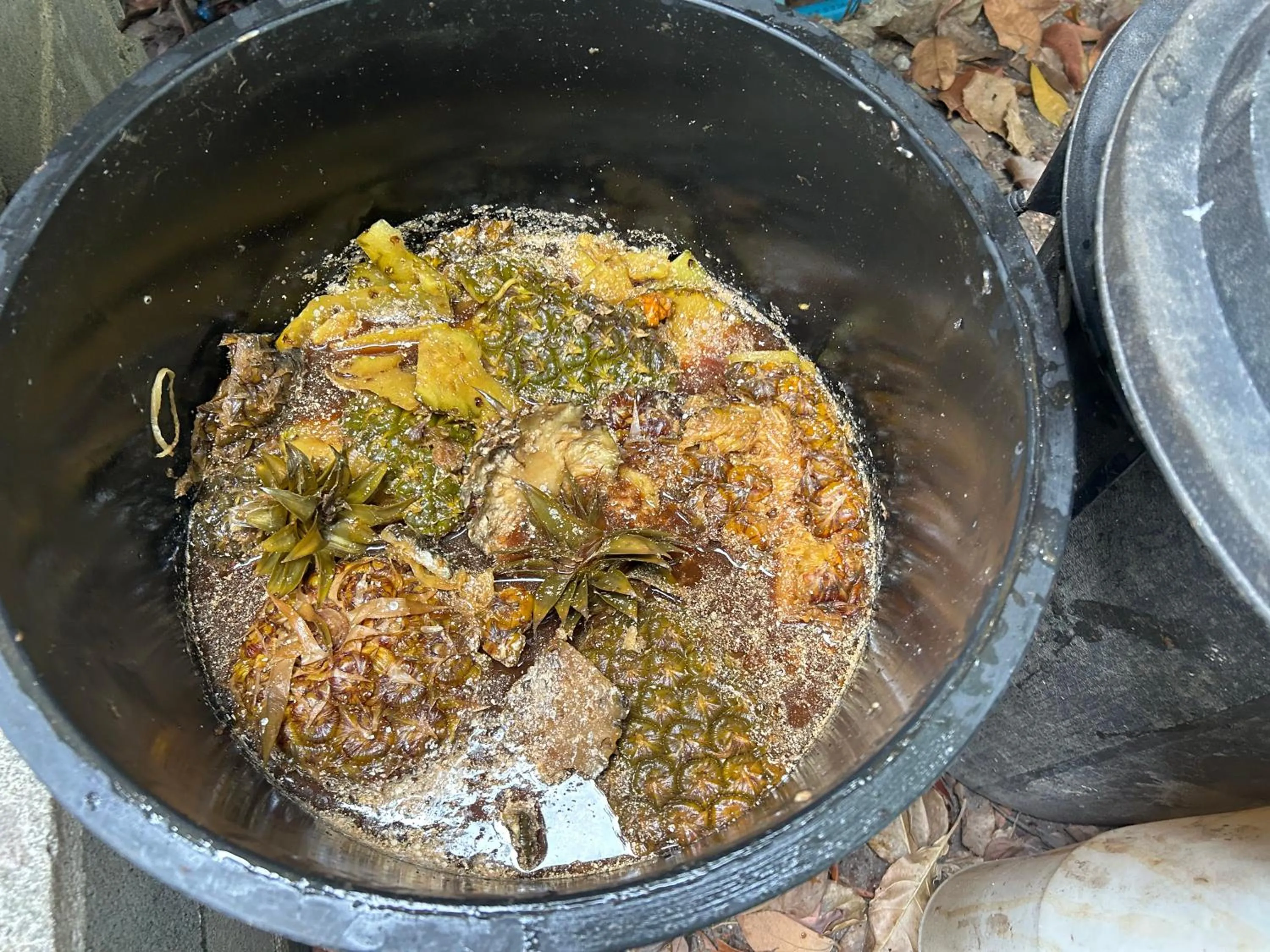 Cookies Salad Resort