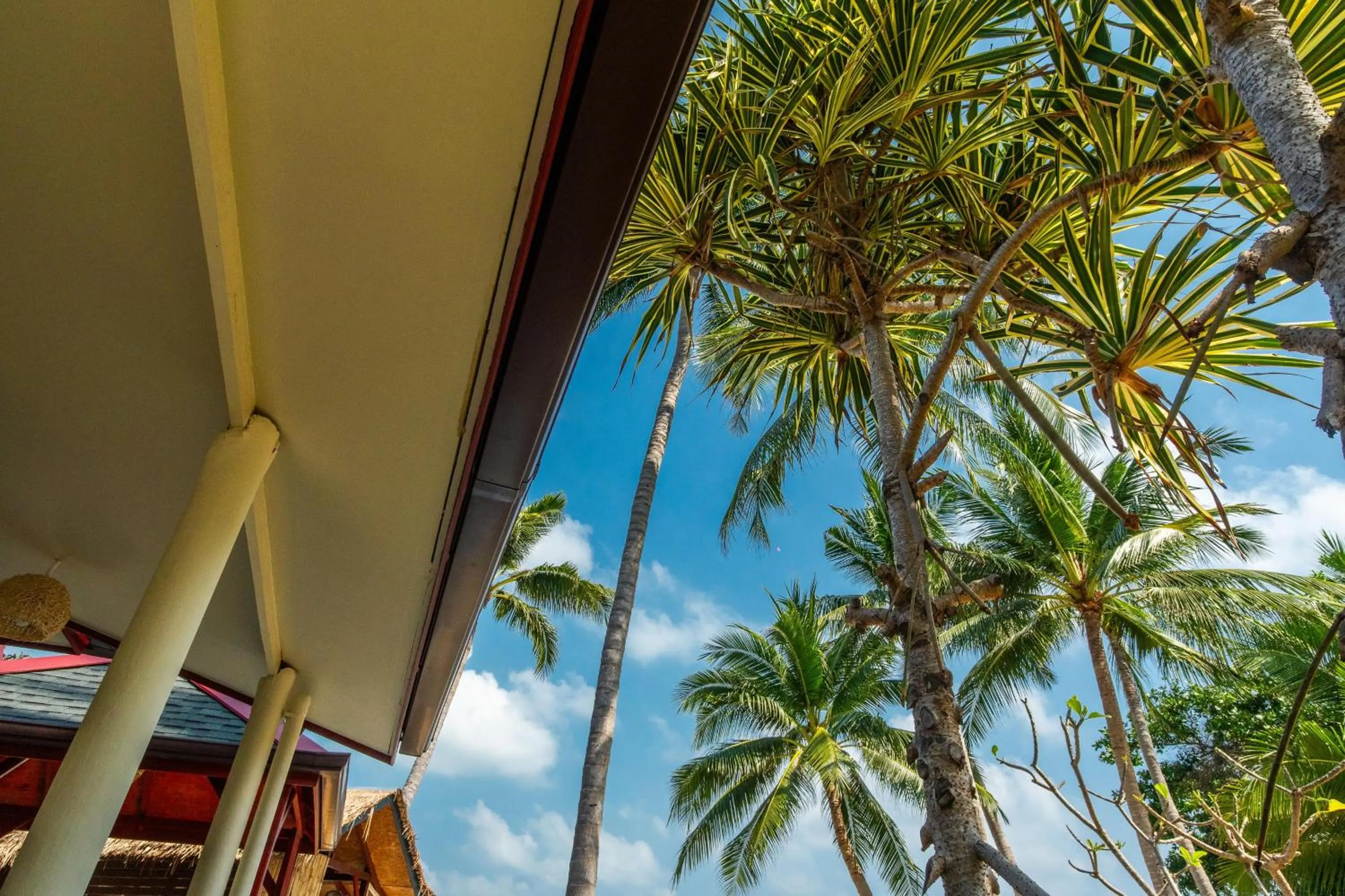 Natural landscape in Crystal Bay Yacht Club Beach Resort