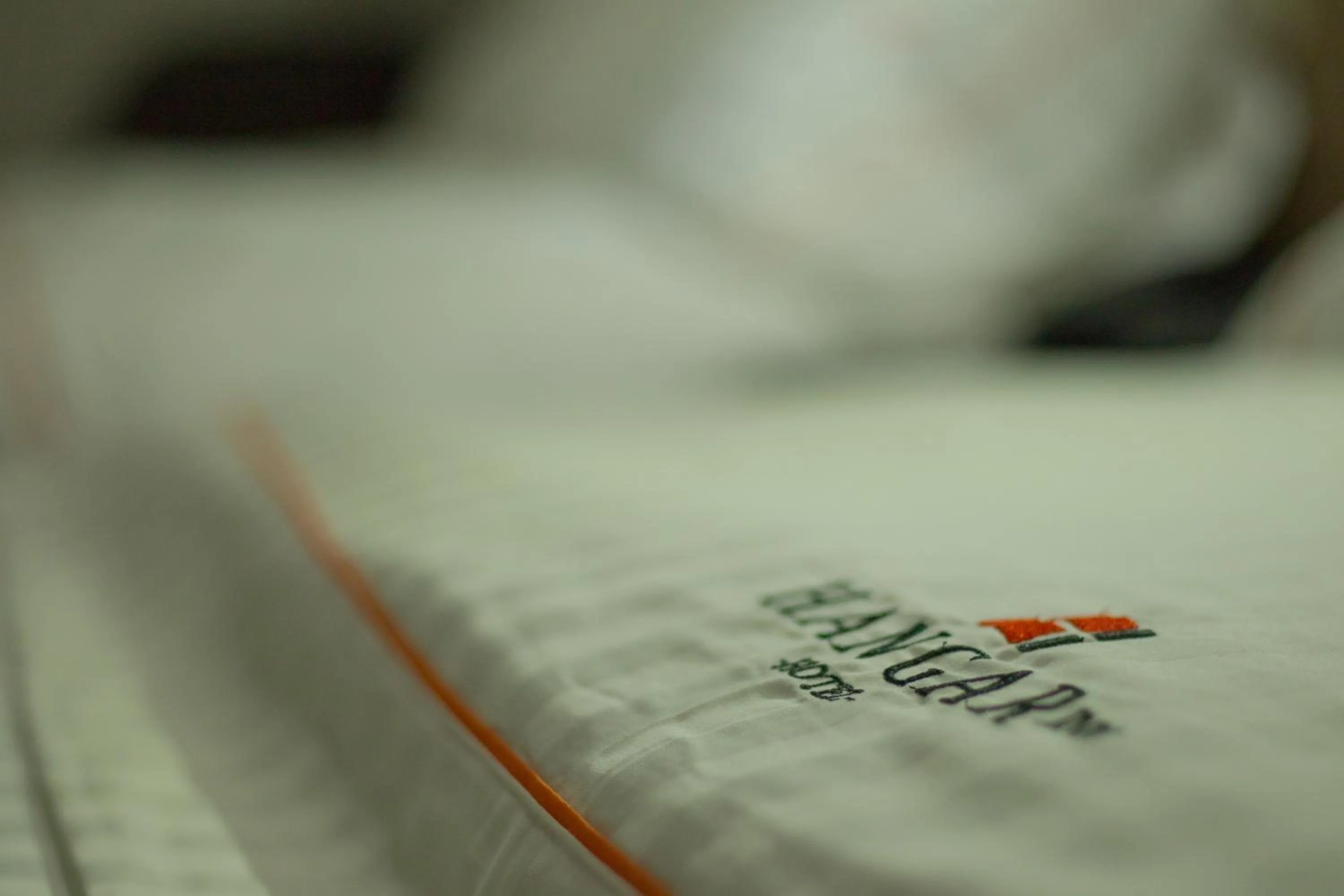 Hangar Inn Guadalajara Aeropuerto