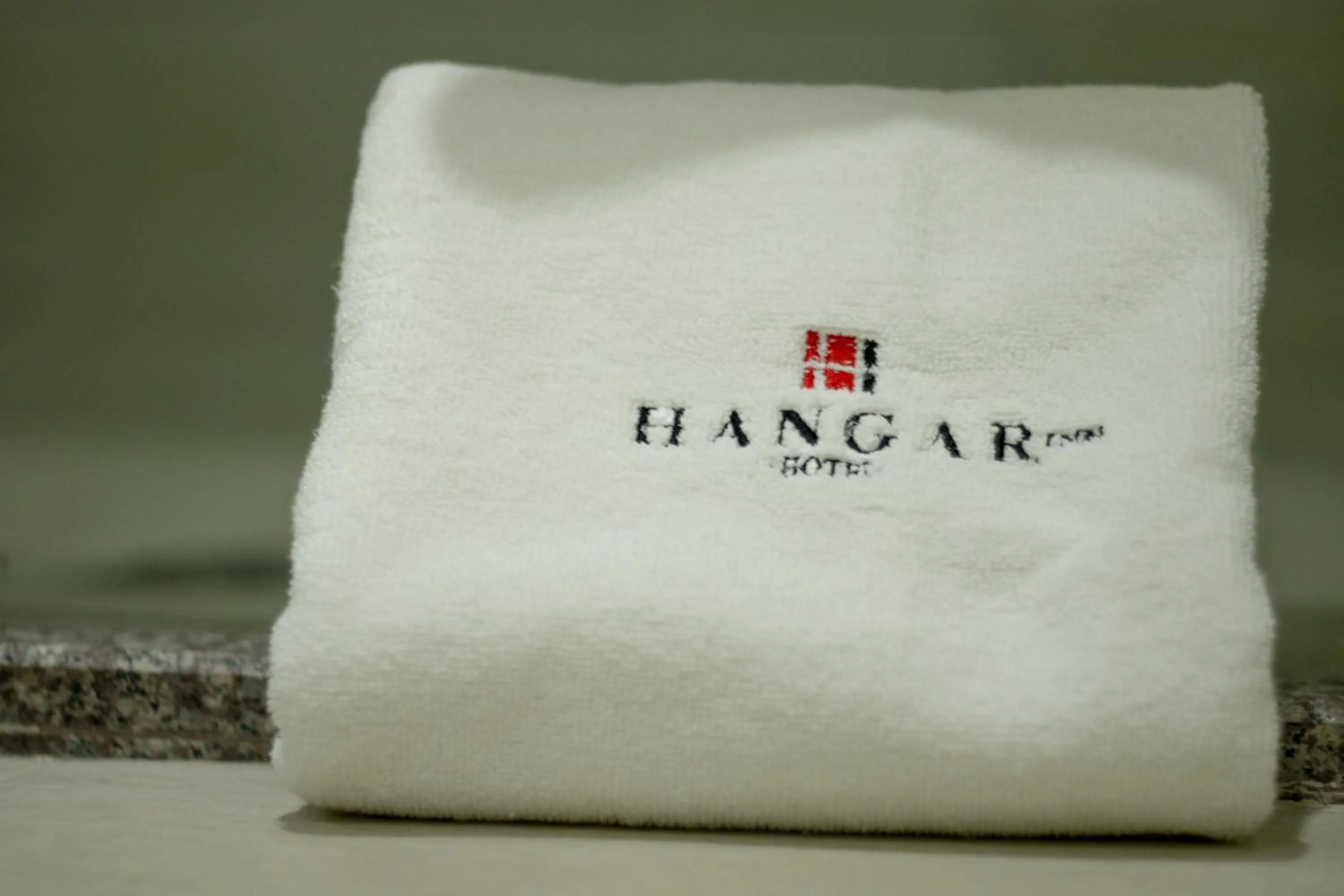 Hangar Inn Guadalajara Aeropuerto