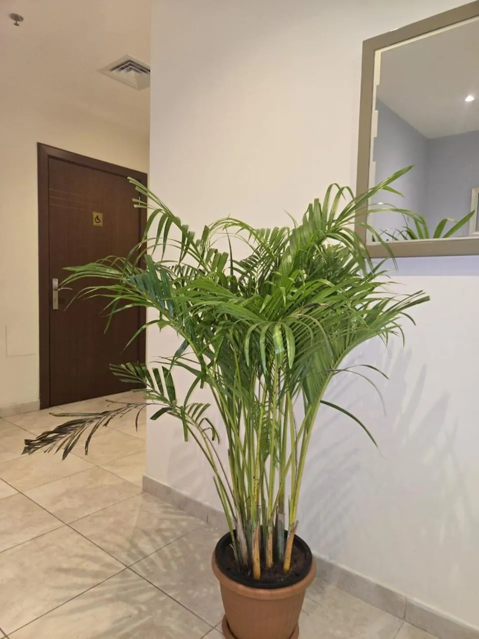 VIP in Al Raya Hotel Apartments