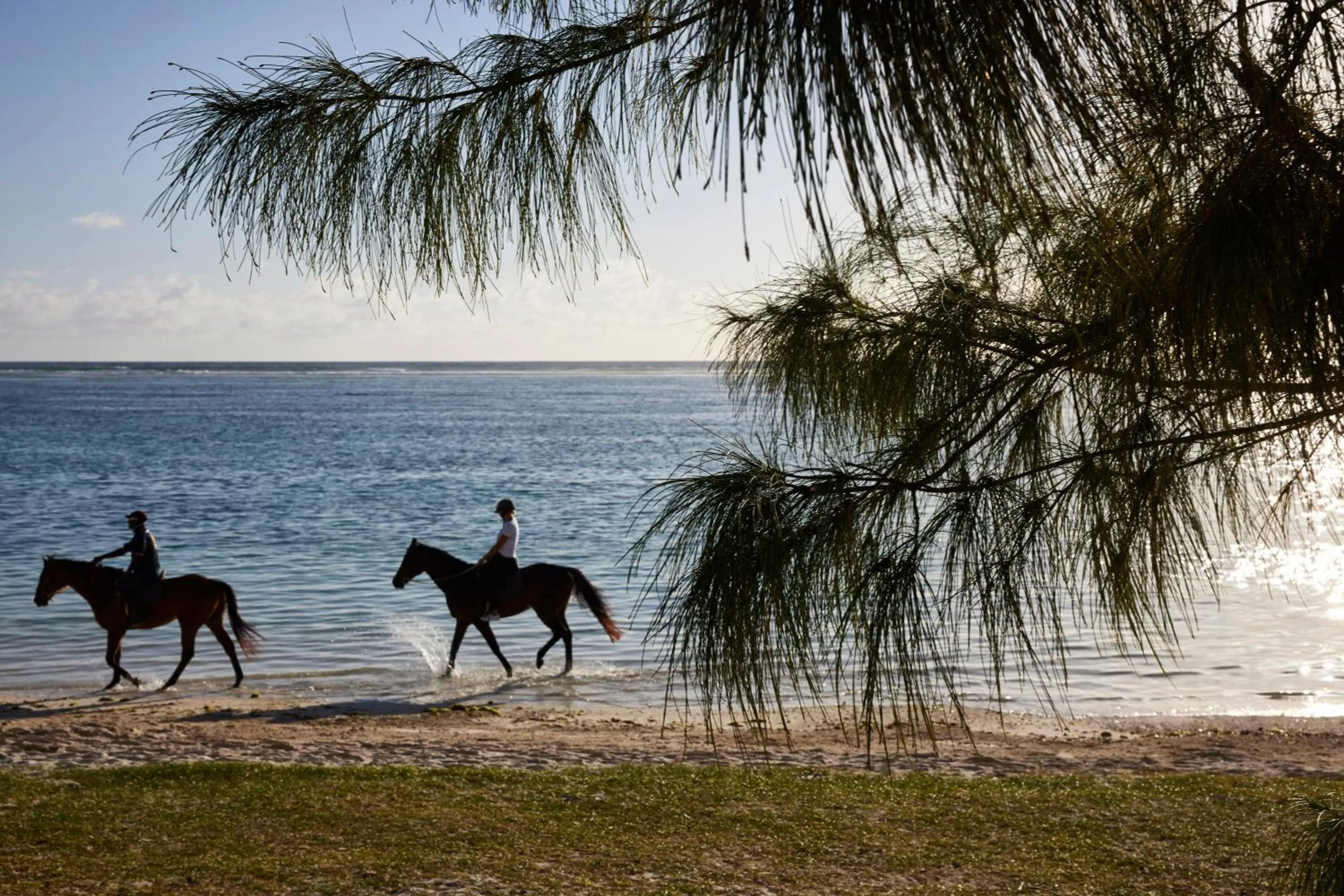 Activities in C Mauritius