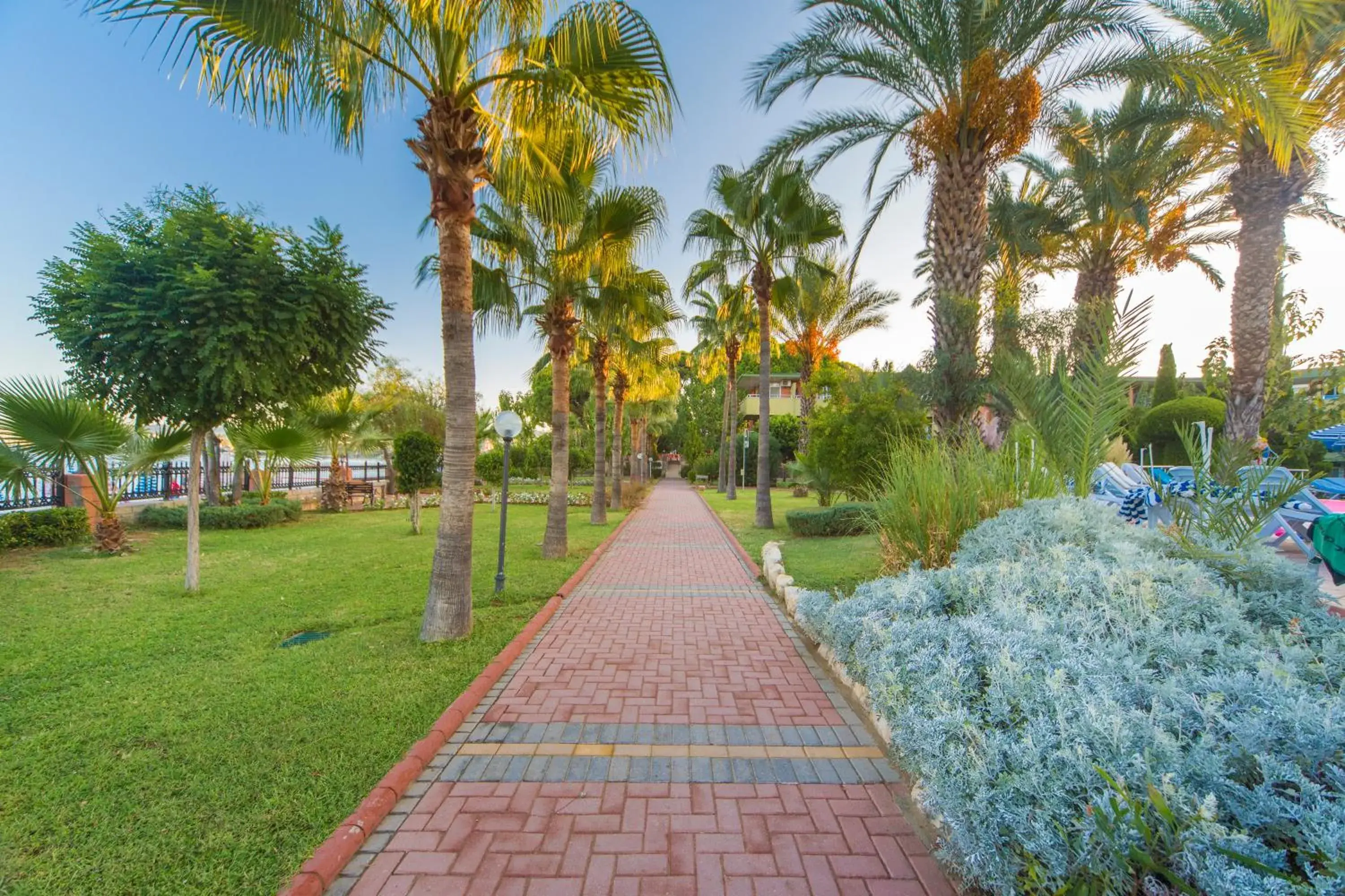 Garden in Lonicera World - Ultra All Inclusive