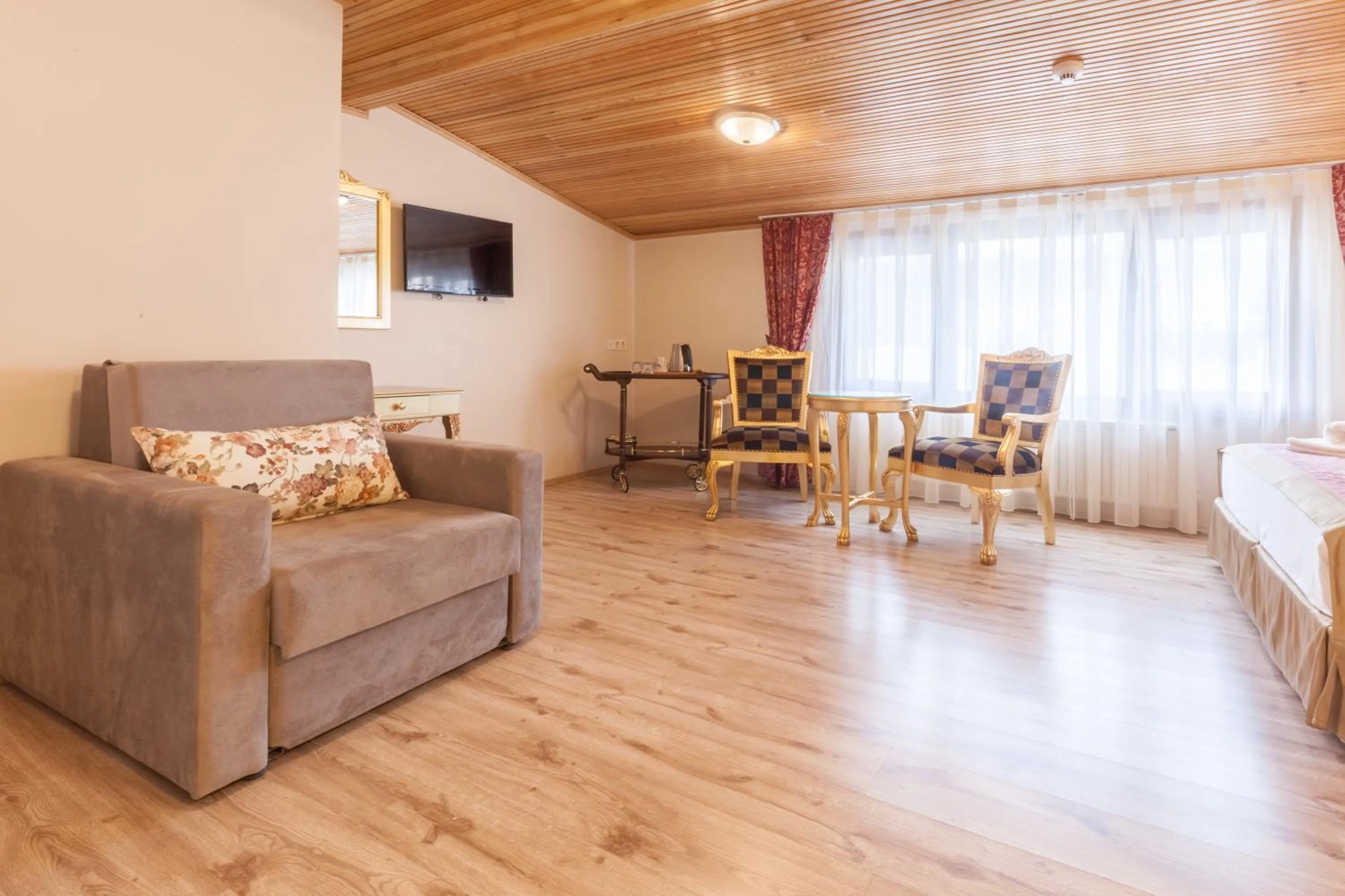 TV and multimedia in Saba Sultan Hotel