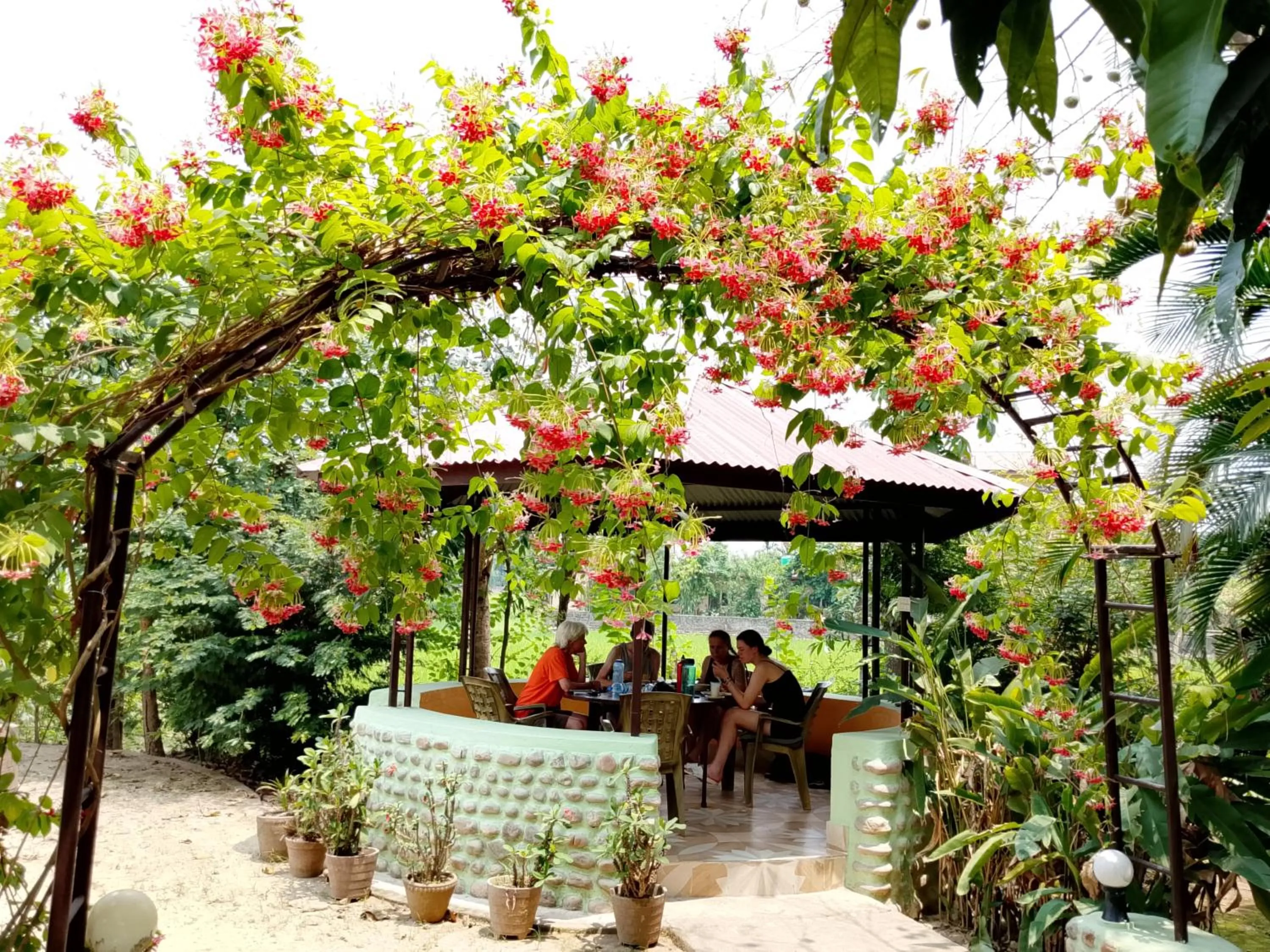Patio in Hotel Rhino Land-Sauraha Family Home