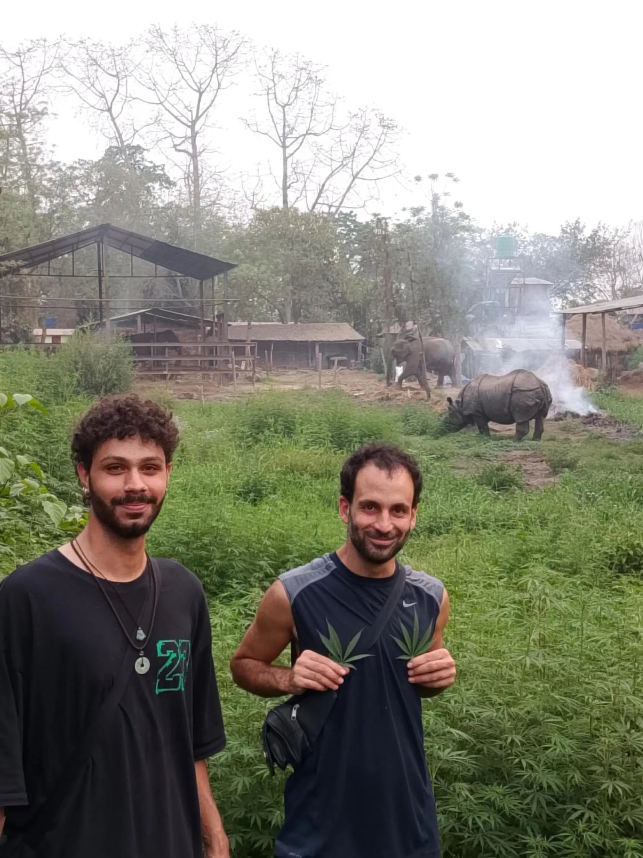 Animals in Hotel Rhino Land-Sauraha Family Home