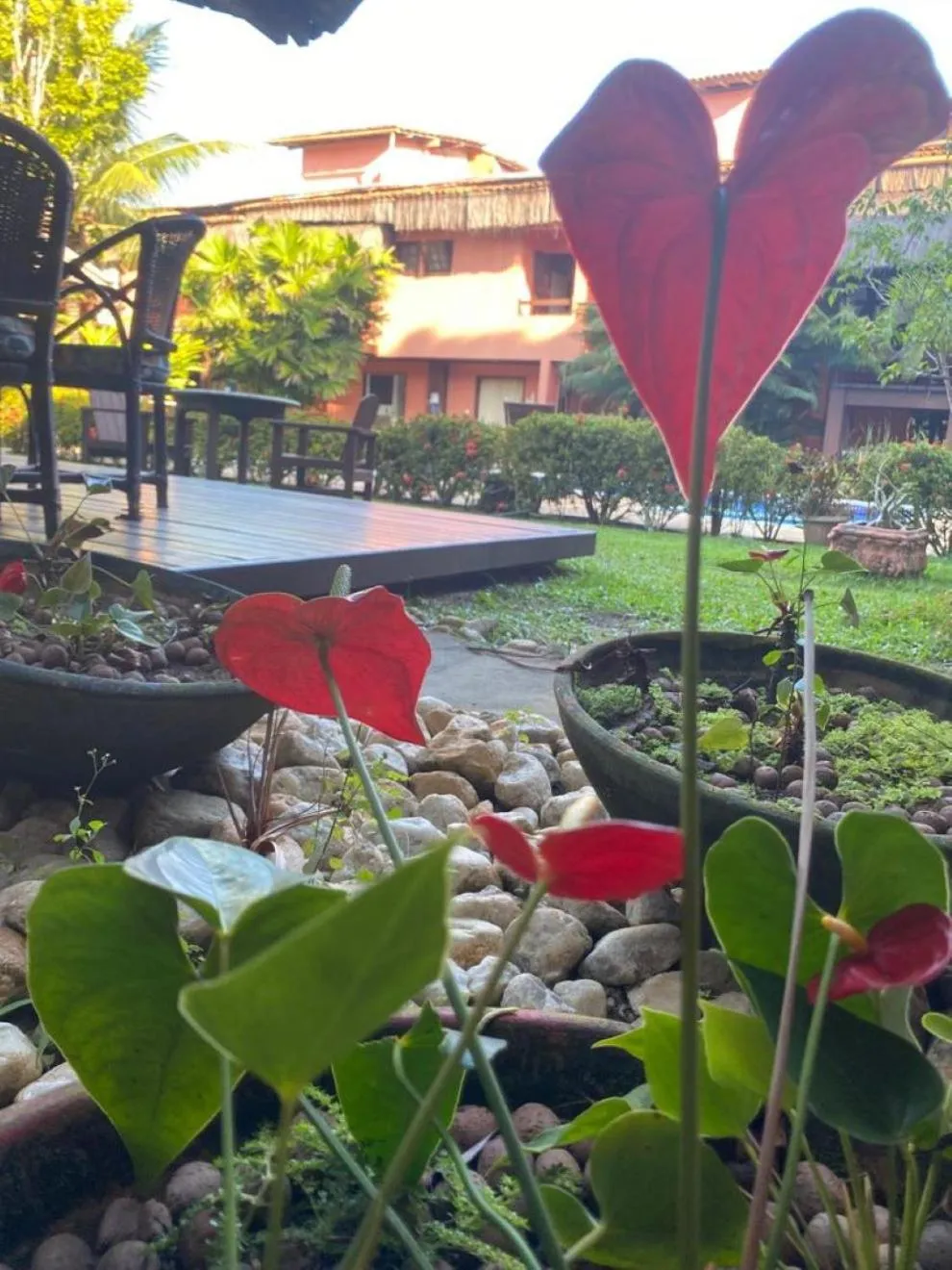 Day in Pousada Saudosa Maloca