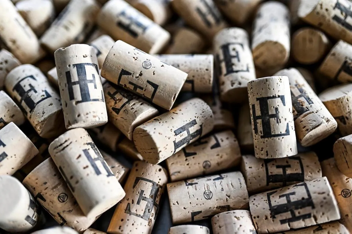 Drinks in Best Western Hotel Edison