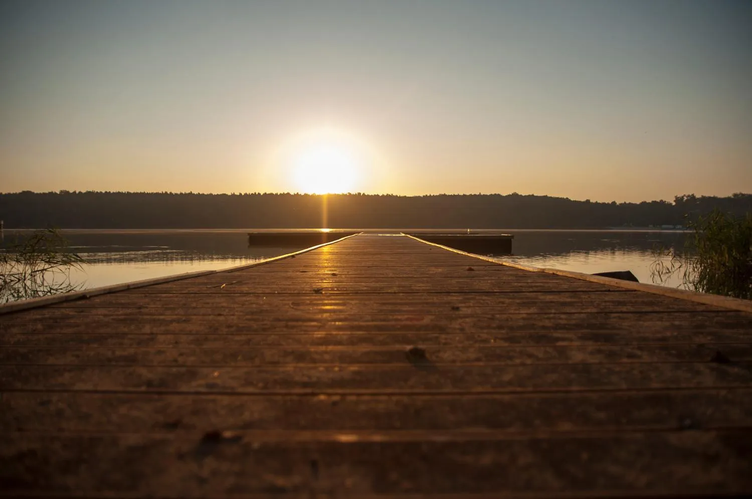 Natural landscape in Best Western Hotel Edison