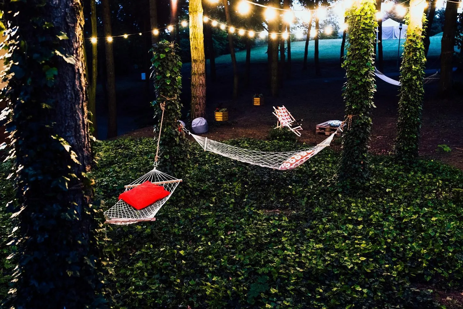 Garden in Best Western Hotel Edison