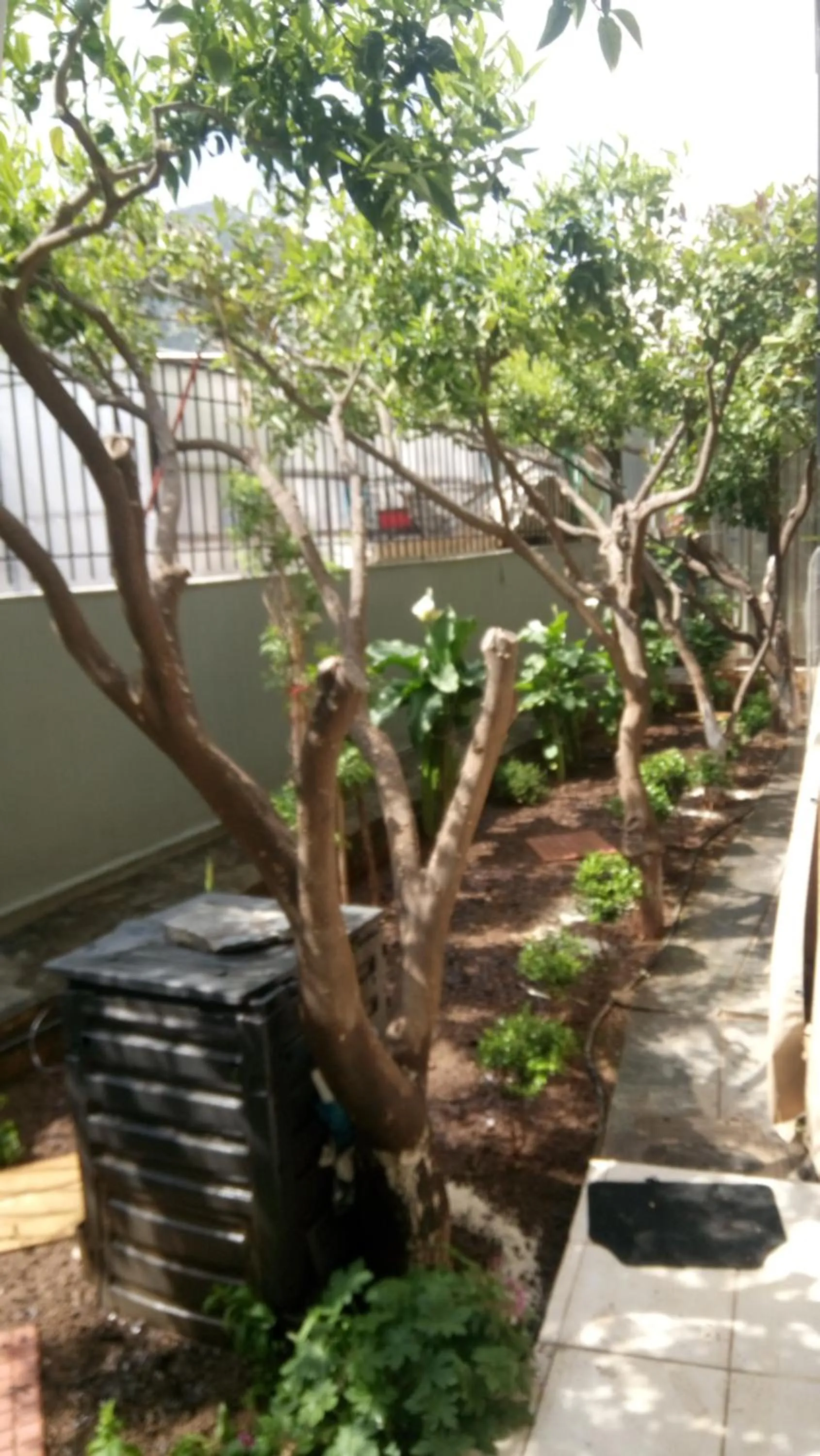 Garden in Villa George - Family Holidays