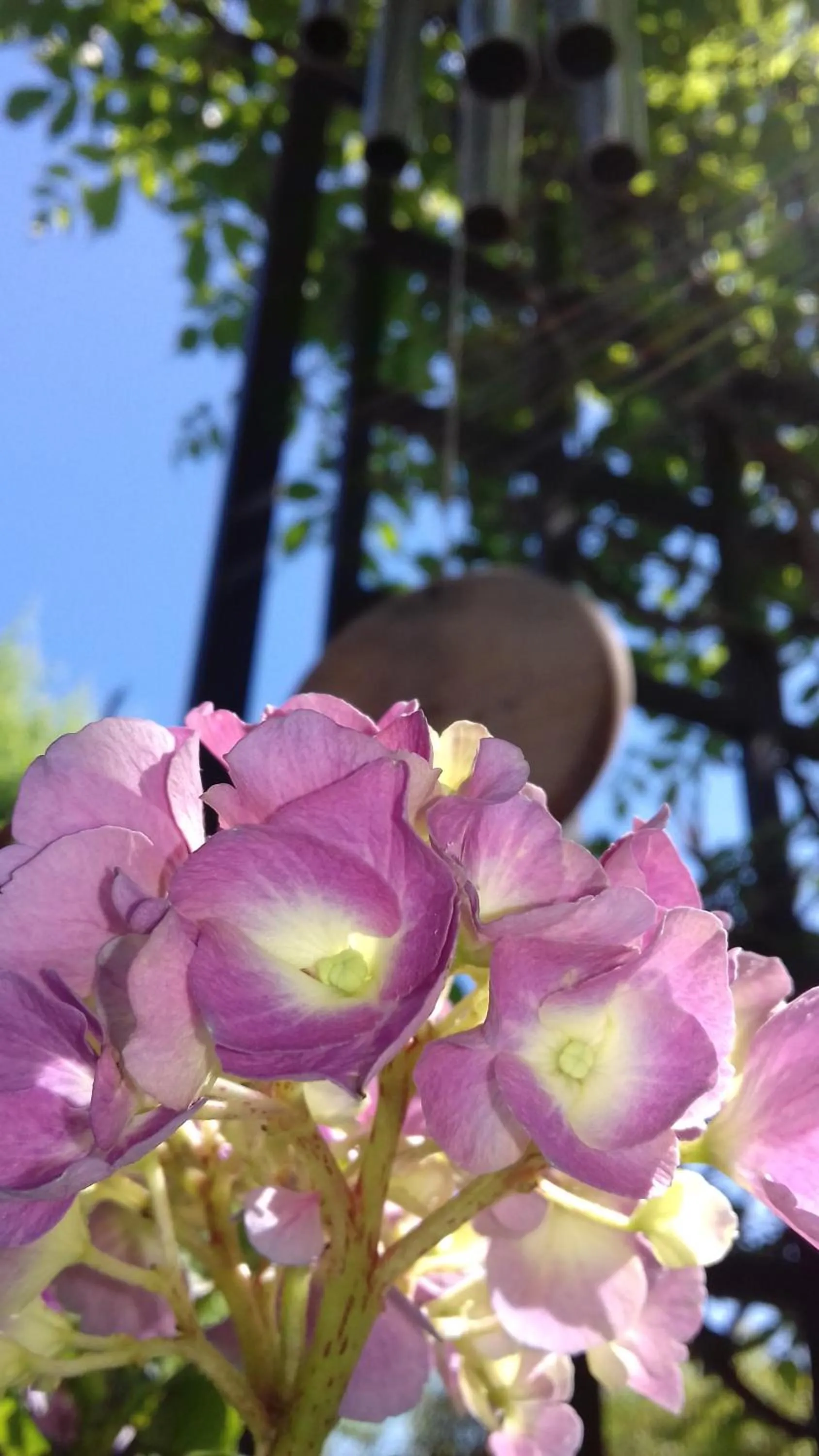 Property building in La Maison D'ayona