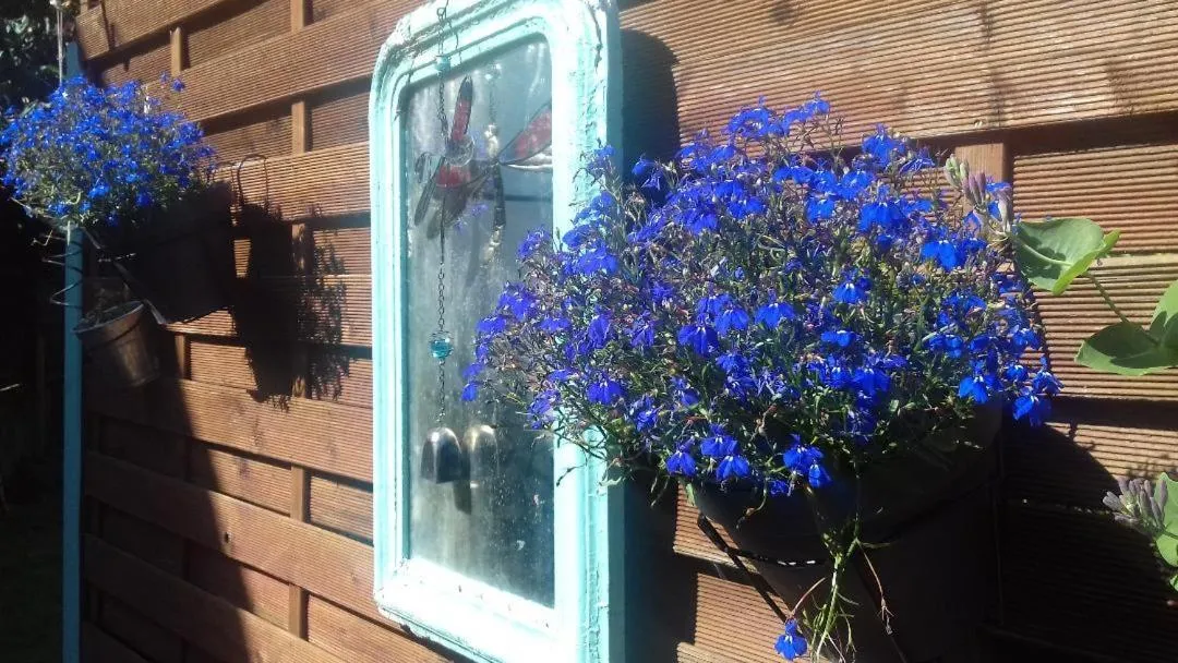 Patio in La Maison D'ayona