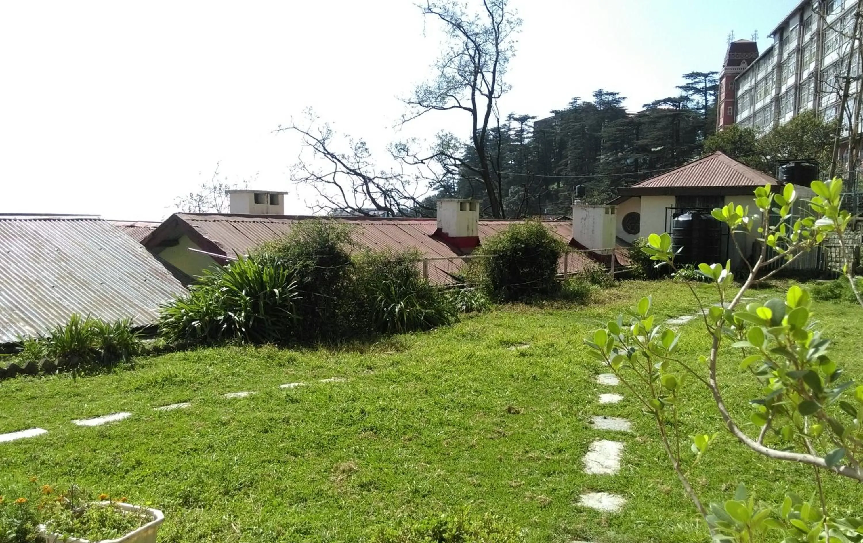 Garden in The Thistle Lodge