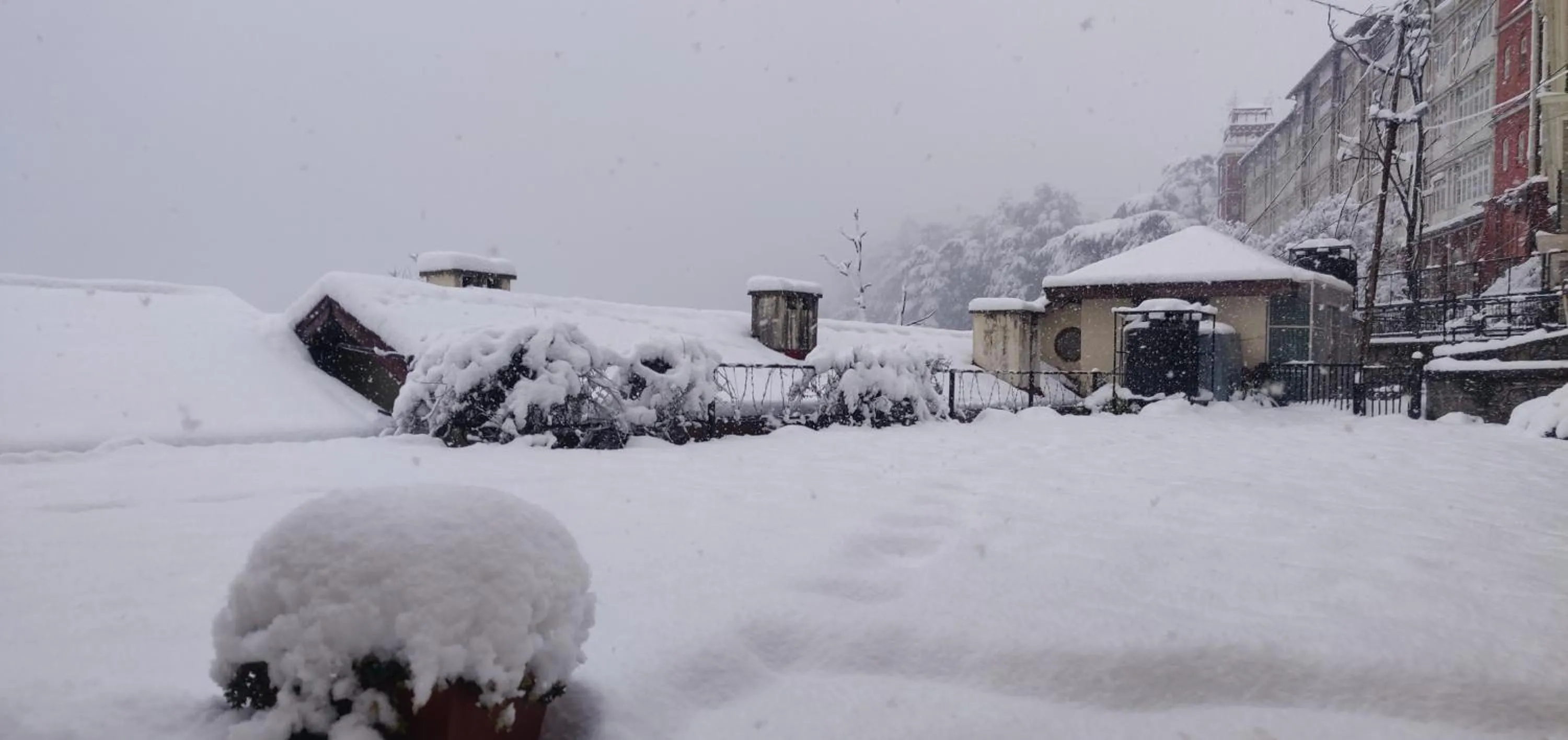 Winter in The Thistle Lodge