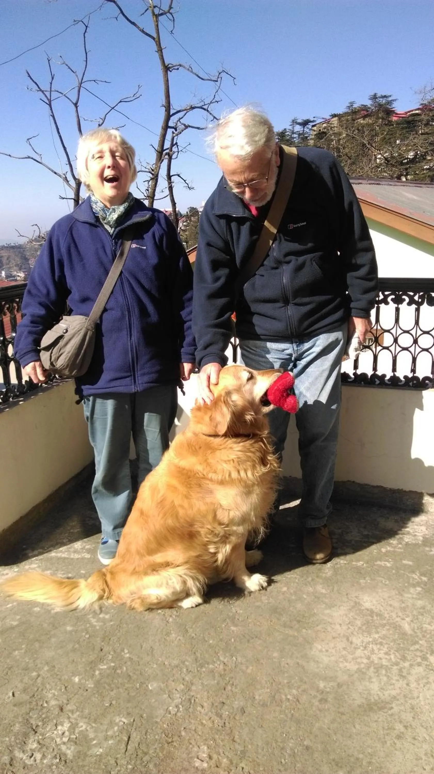 Pets in The Thistle Lodge
