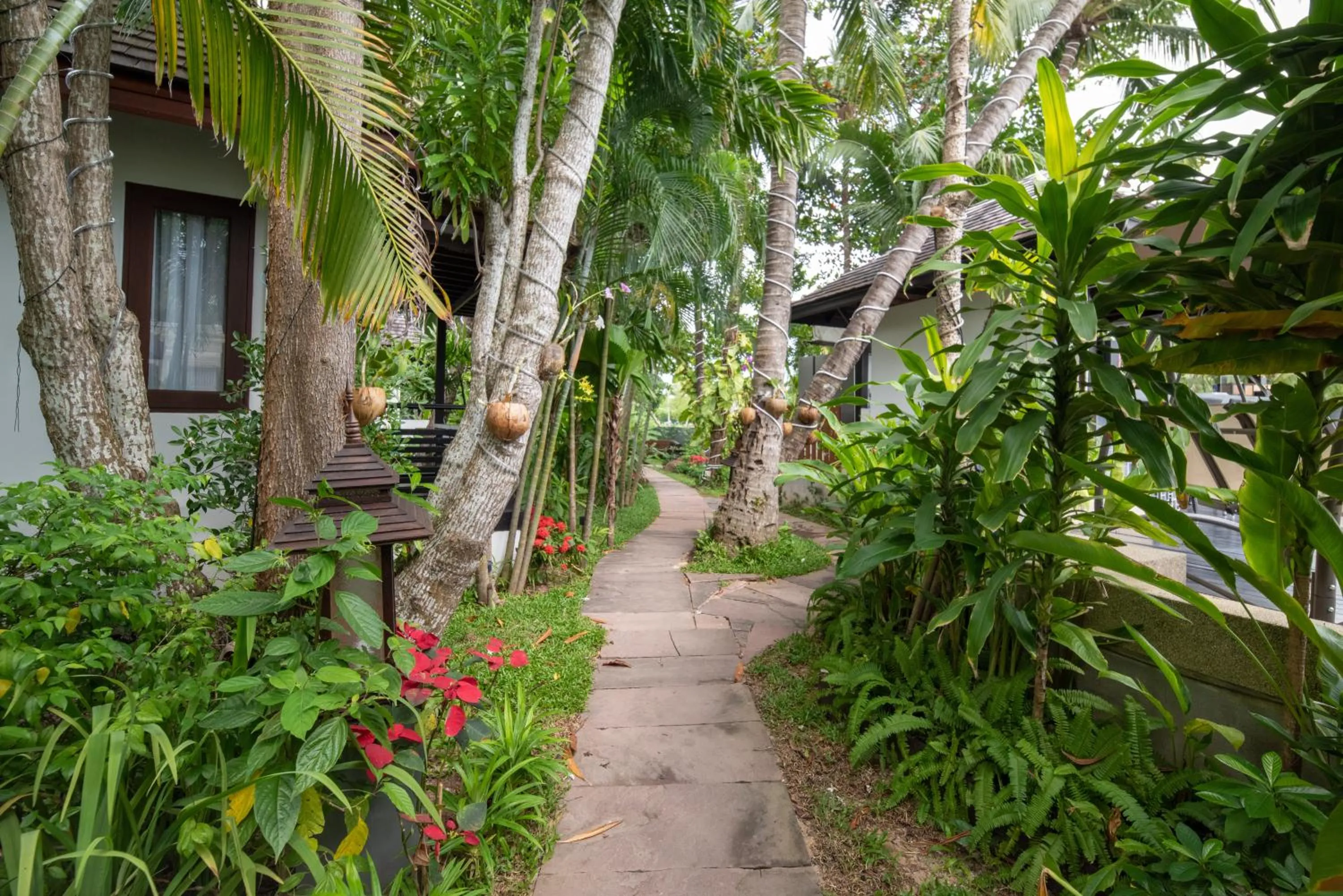 Garden in Zara Beach Resort Koh Samui