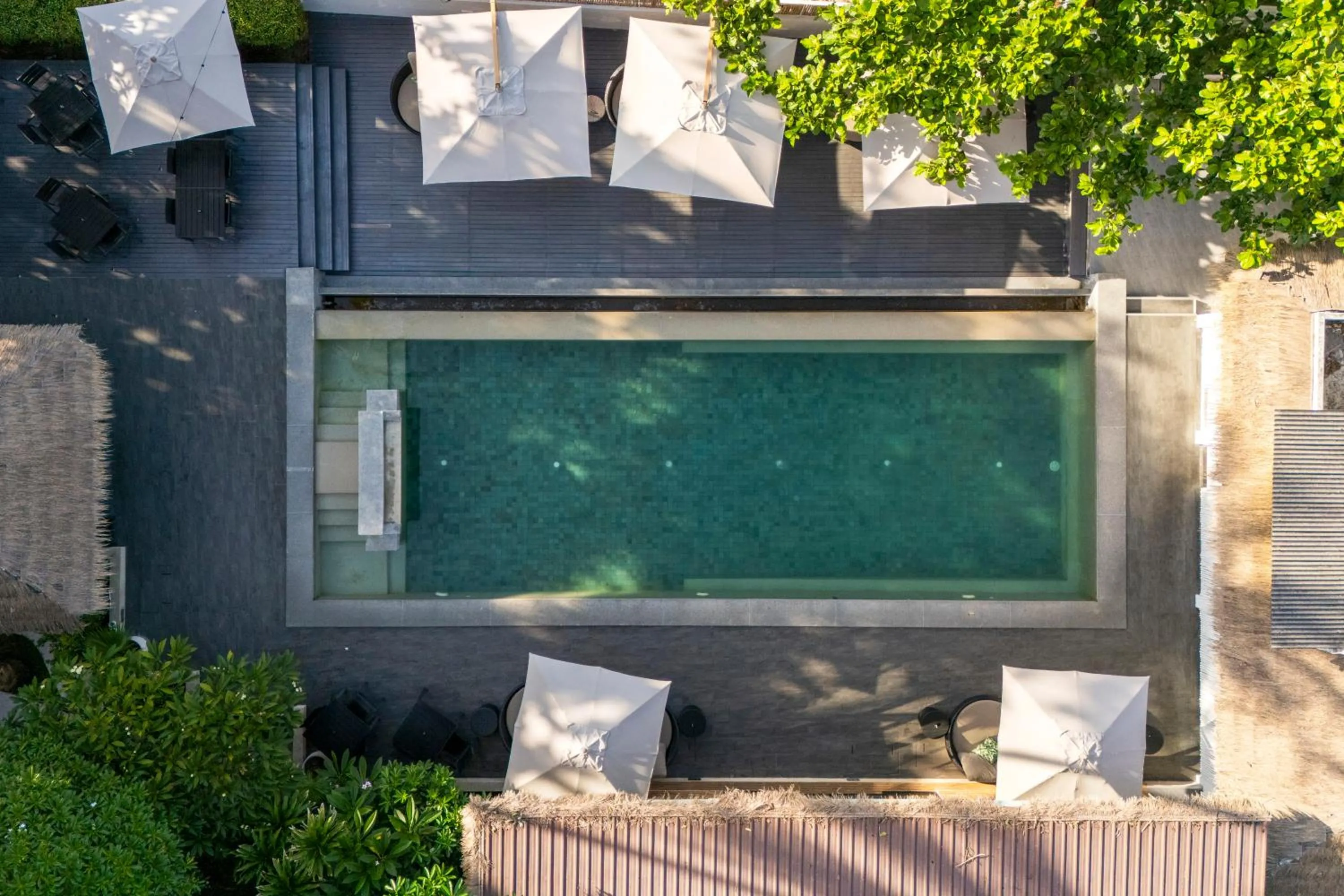 Pool view in Zara Beach Resort Koh Samui