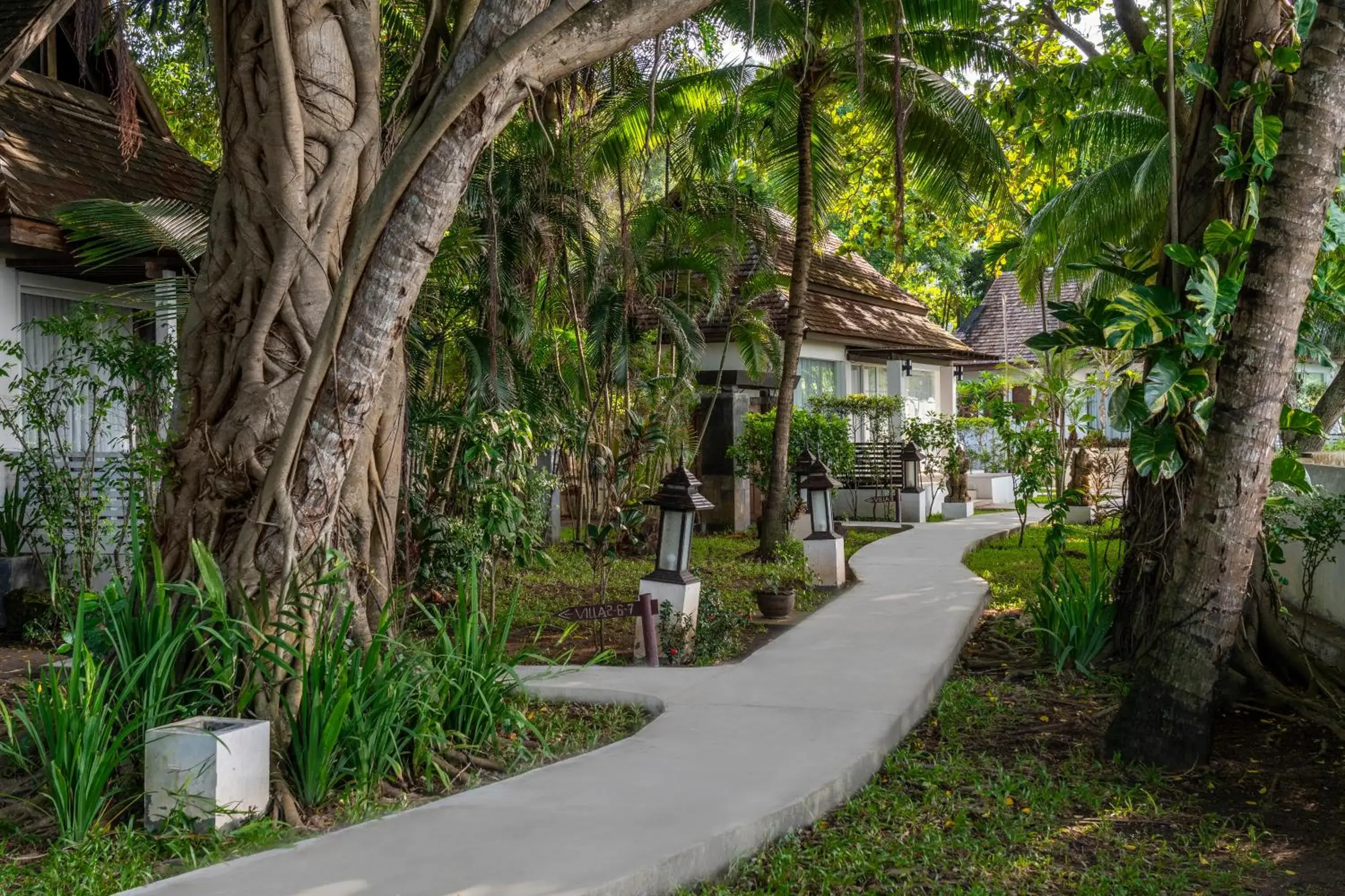 Garden view in Zara Beach Resort Koh Samui Garden view in Zara Beach Resort Koh Samui