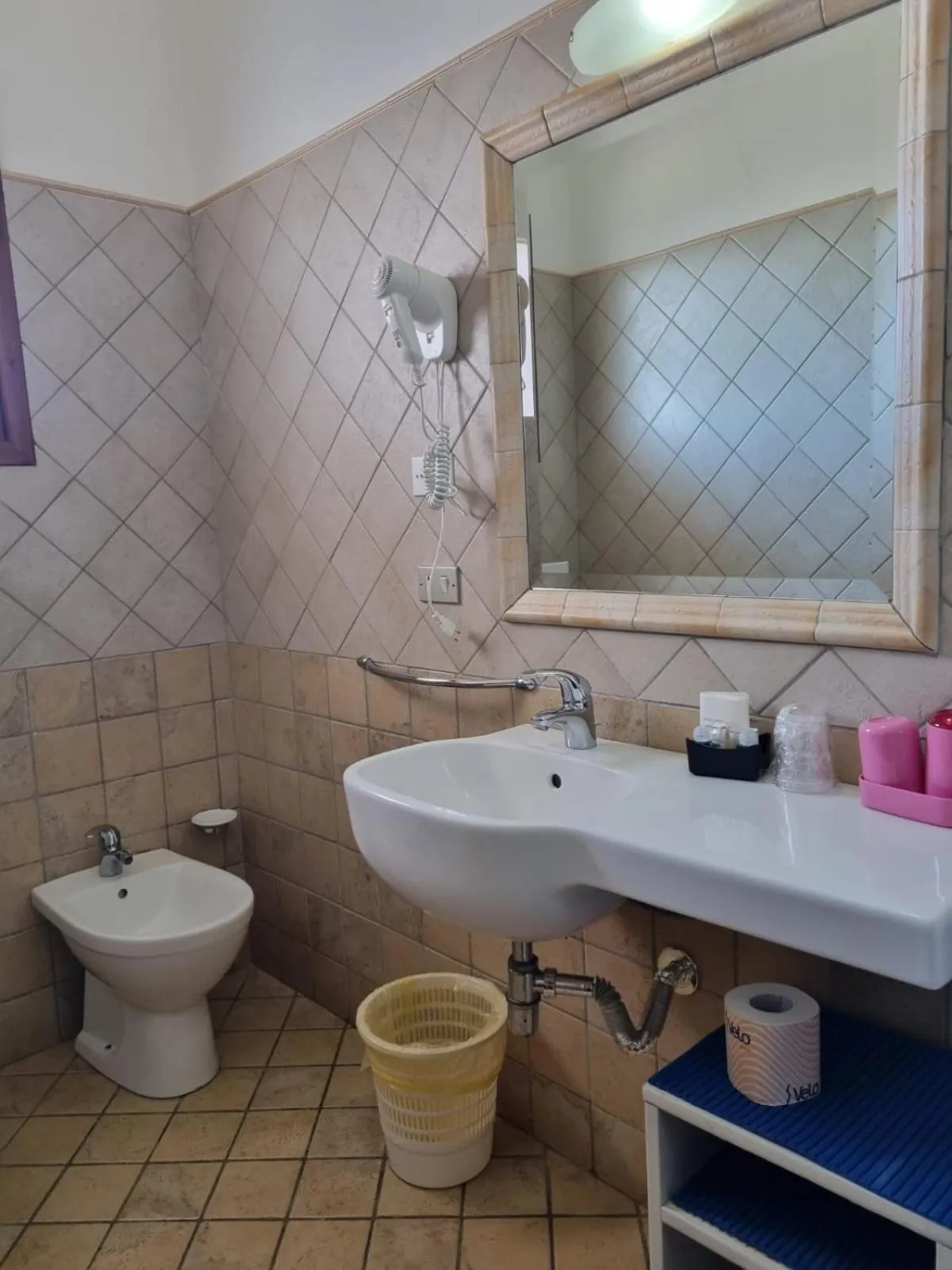 Bathroom in Hotel Plammas