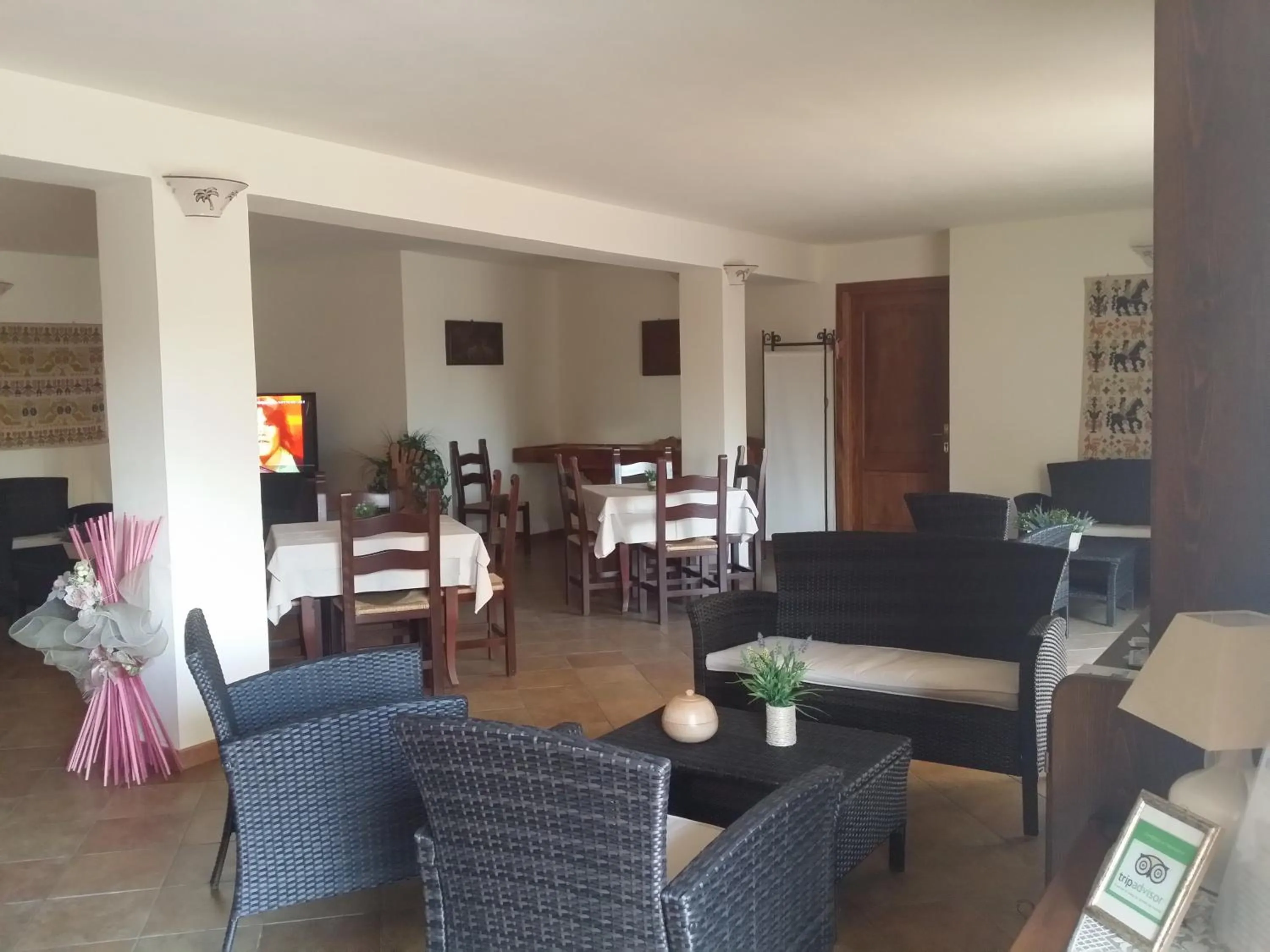 Communal lounge/ TV room in Hotel Plammas