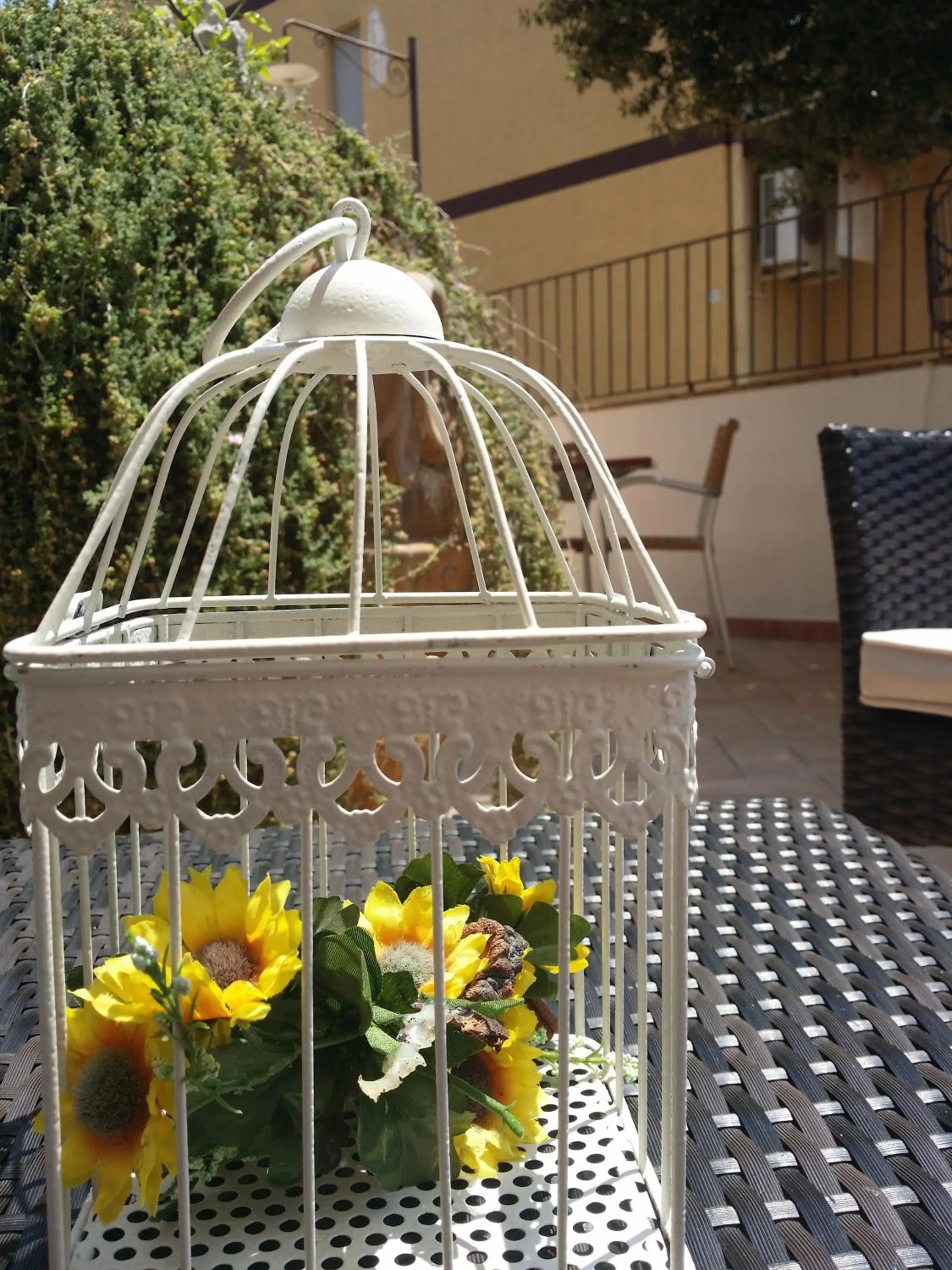 Day in Hotel Plammas