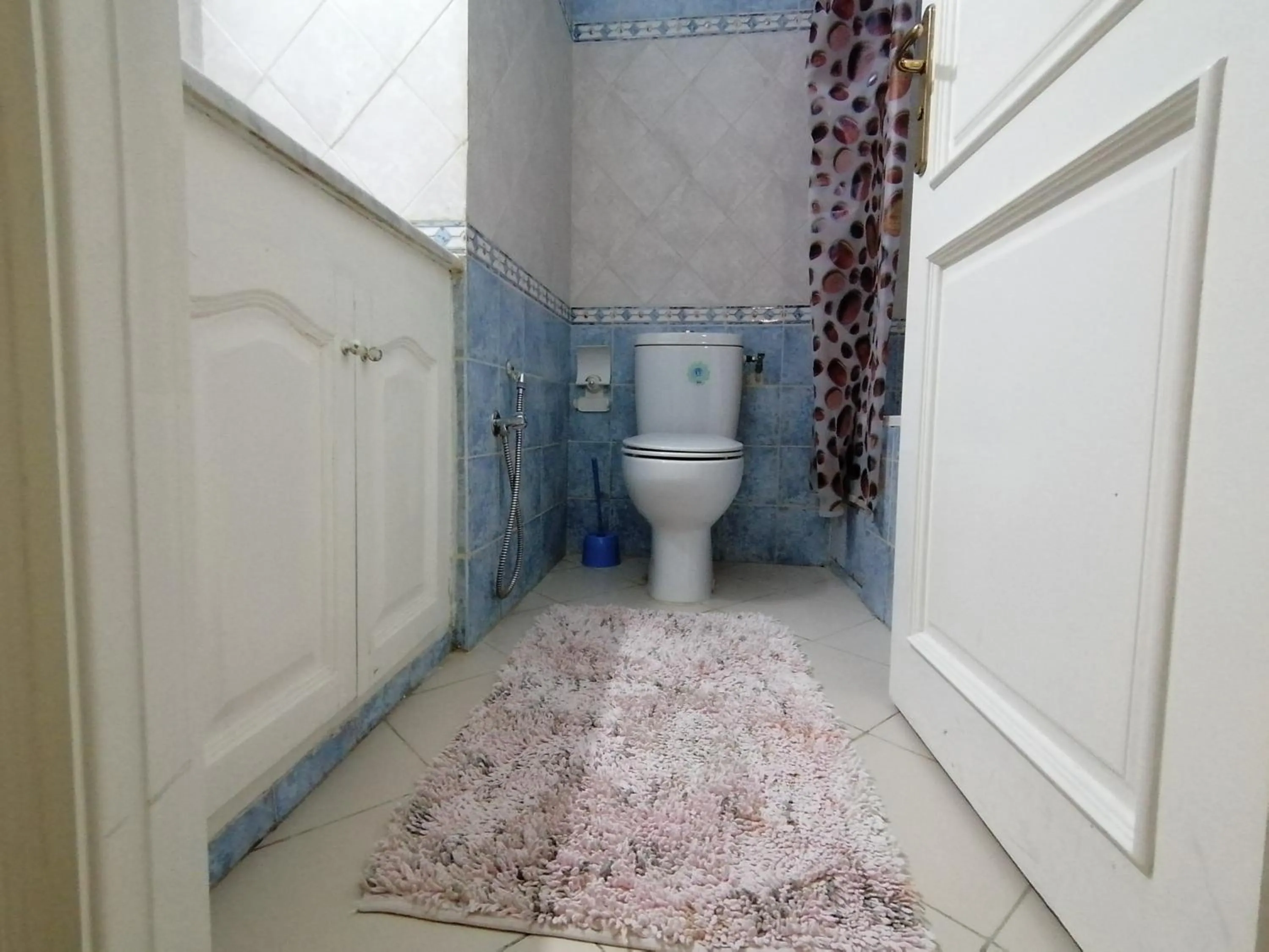 Toilet in My Second Home