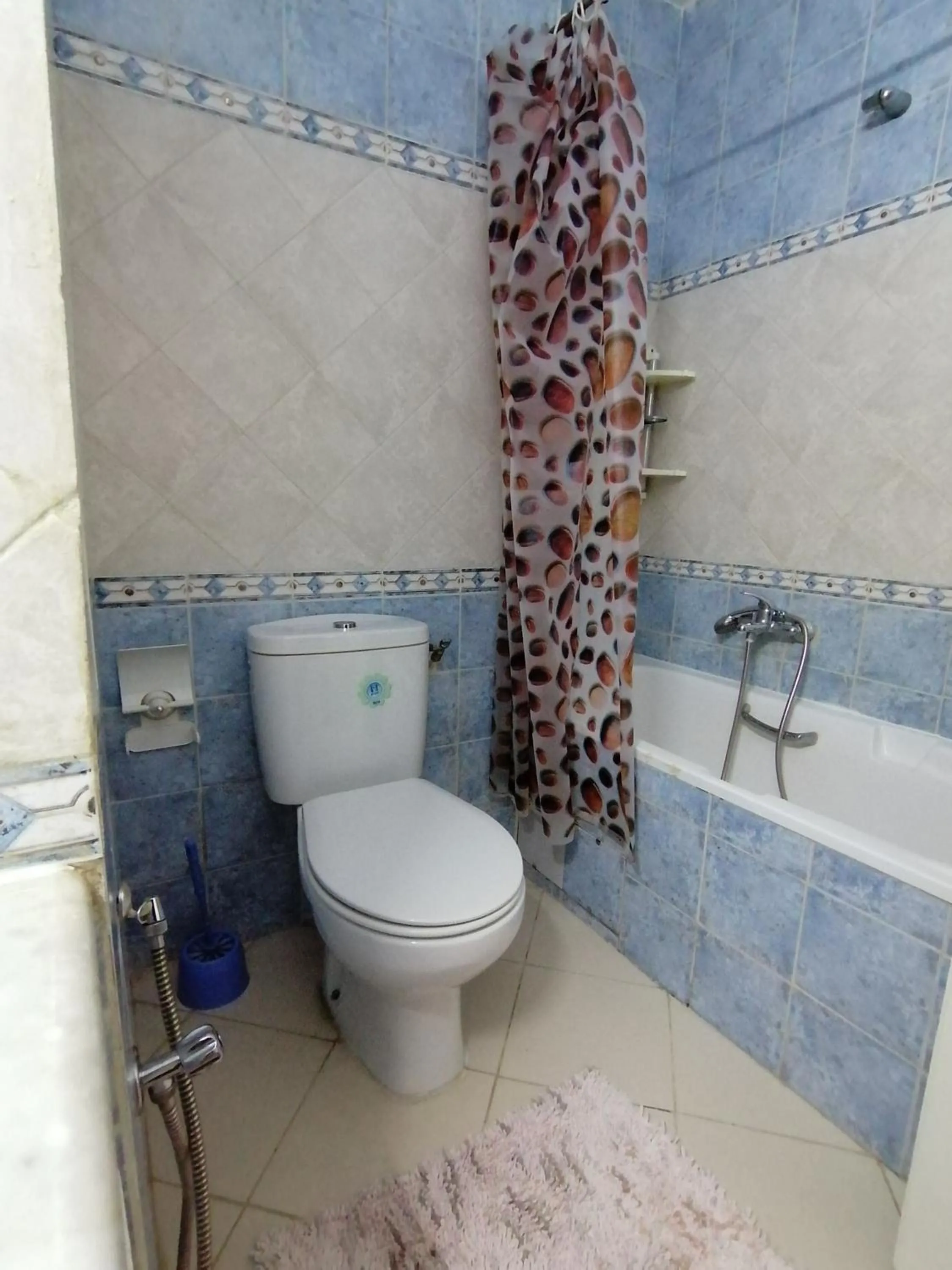 Toilet in My Second Home