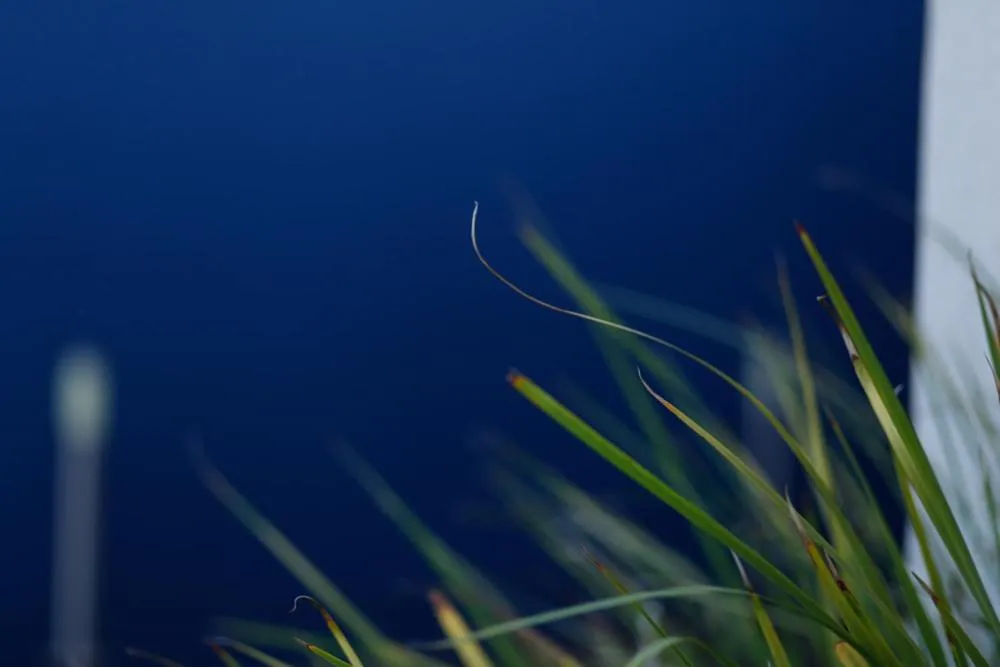 Decorative detail in The Hedge Guesthouse