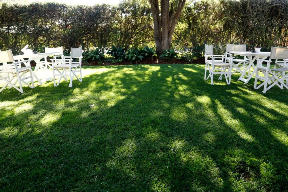 Garden in The Hedge Guesthouse