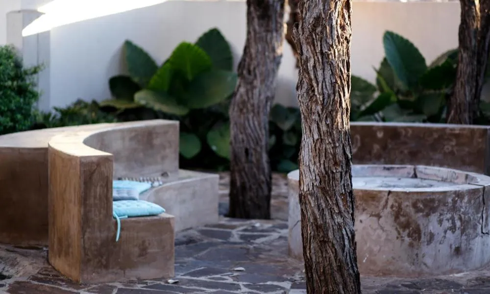 Garden in The Hedge Guesthouse