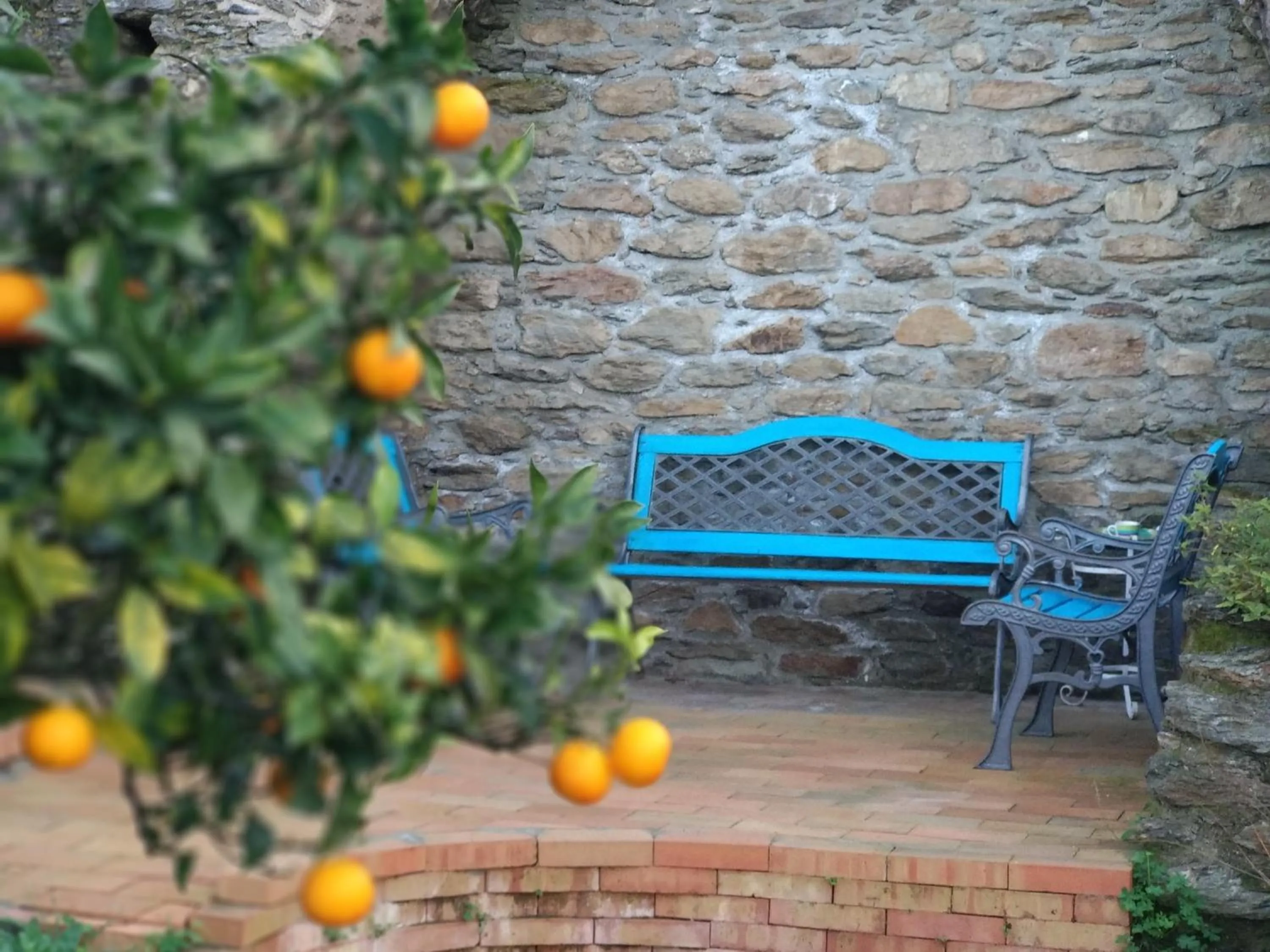 Garden in B&B Casa Gemma