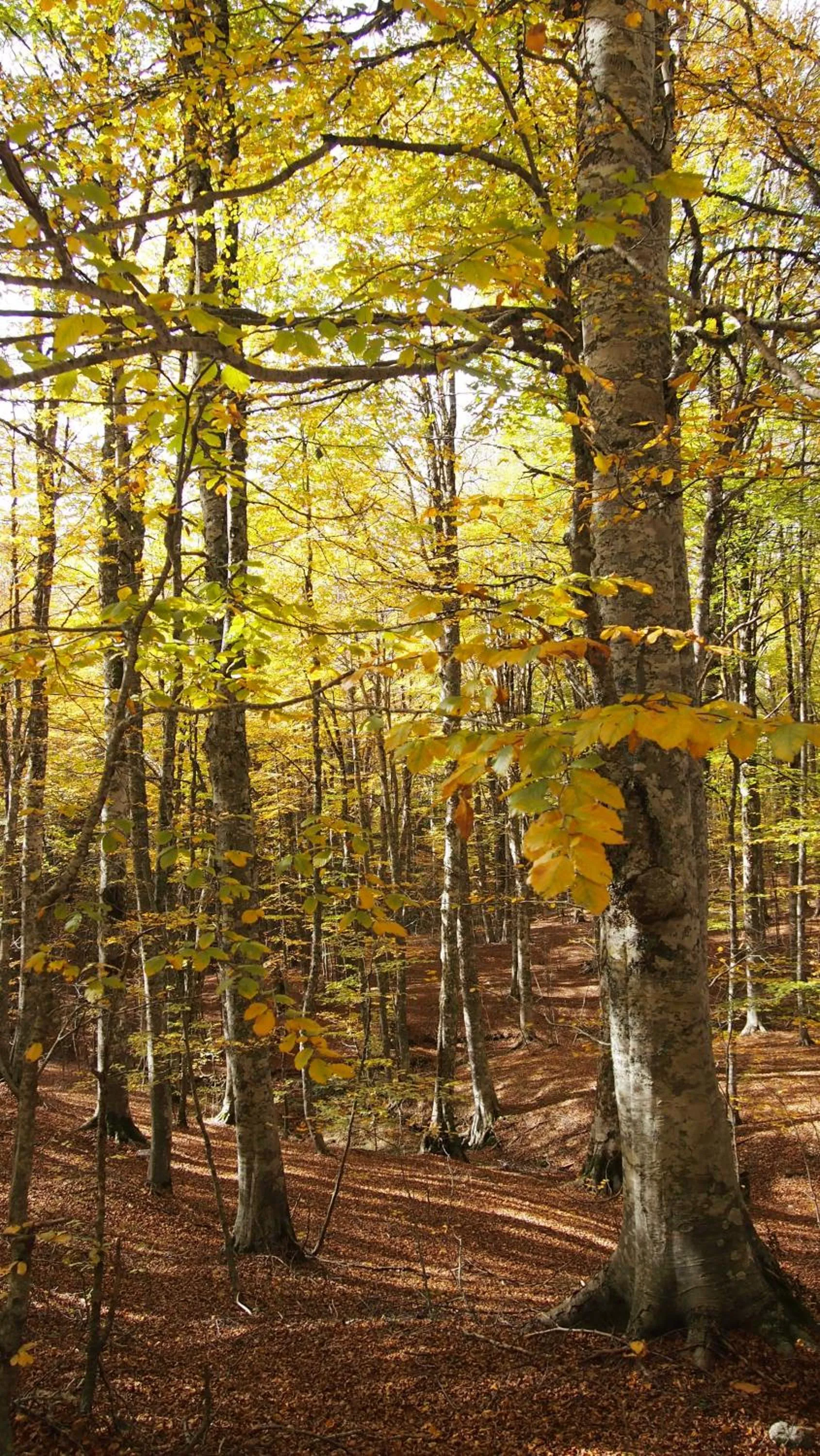 Natural landscape in B&B Casa Gemma