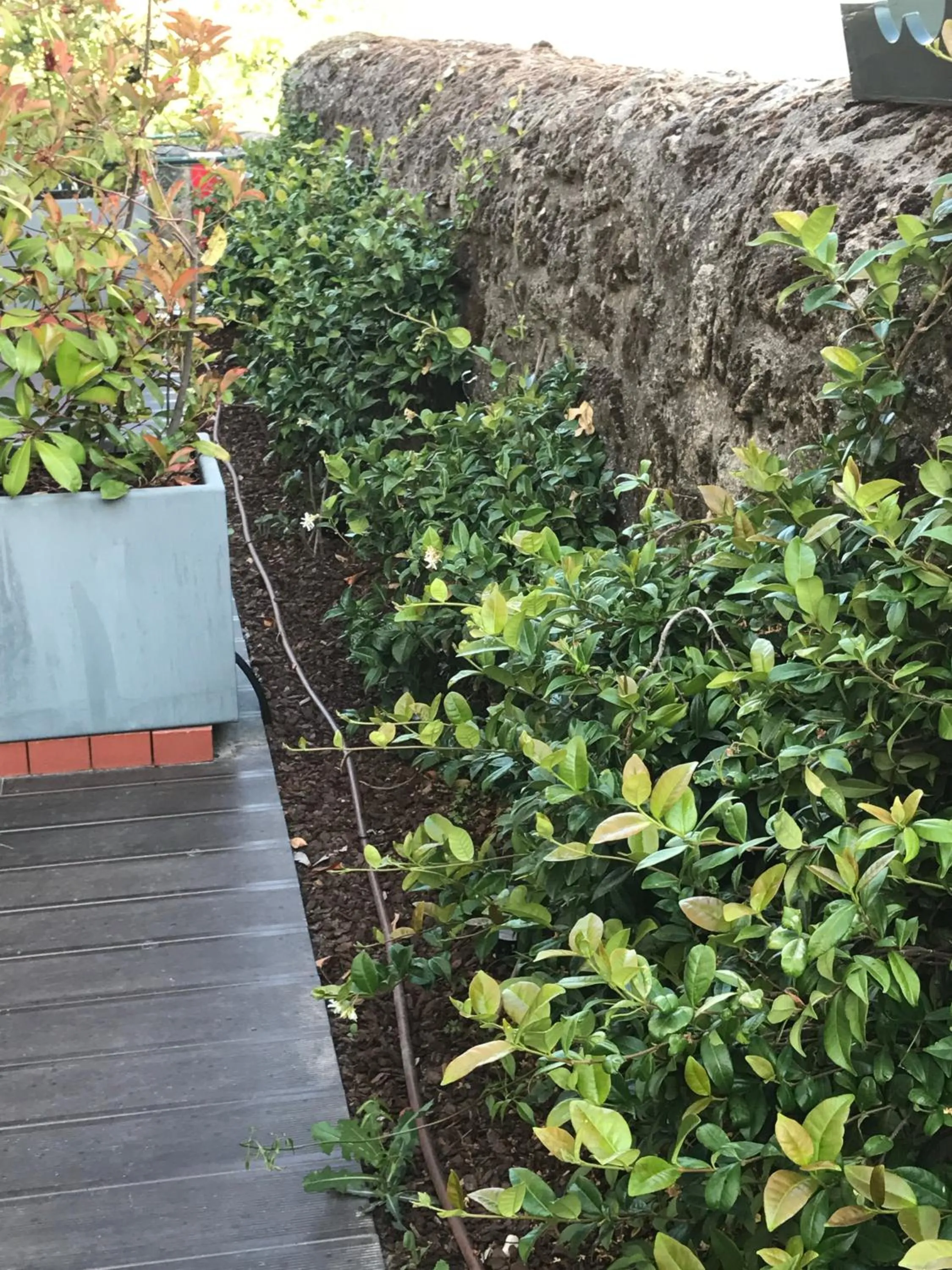 Balcony/Terrace in Hotel Medieval® de Penedono