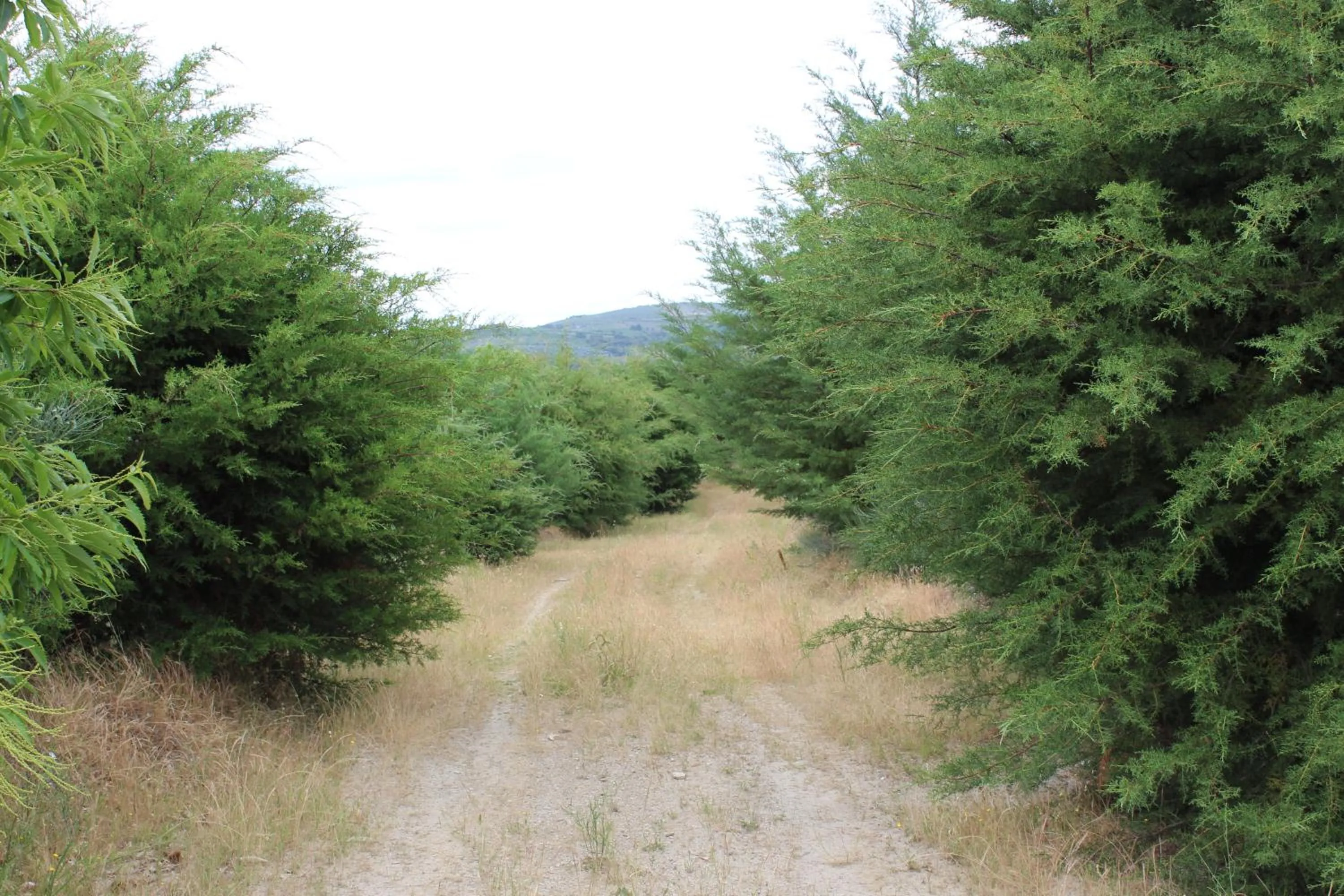 Off site in Hotel Medieval® de Penedono