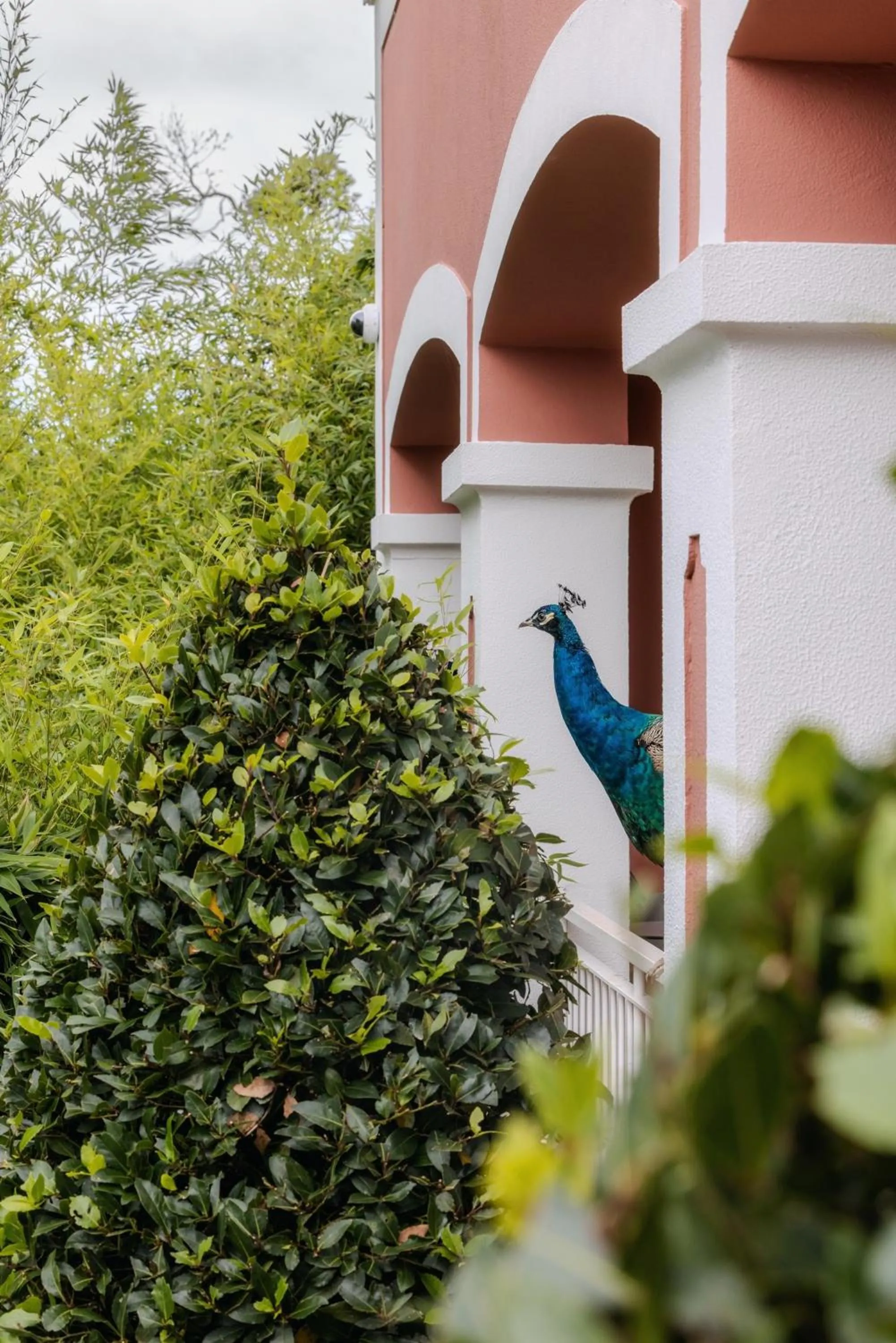 Area and facilities in Enotel Santo da Serra