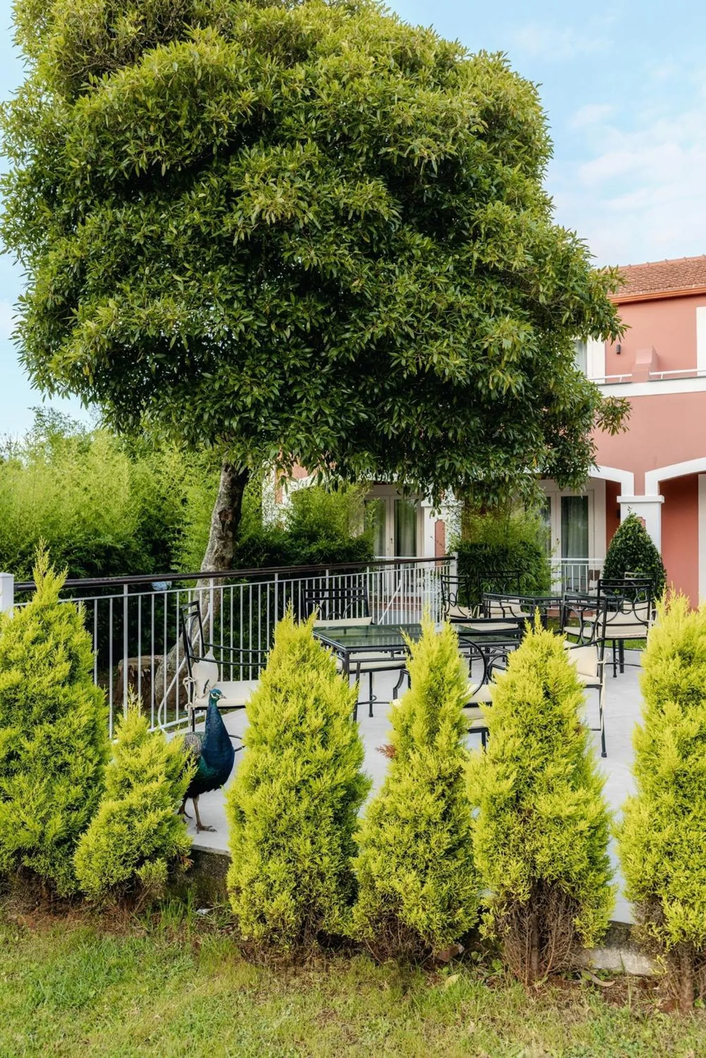 Seating area in Enotel Santo da Serra