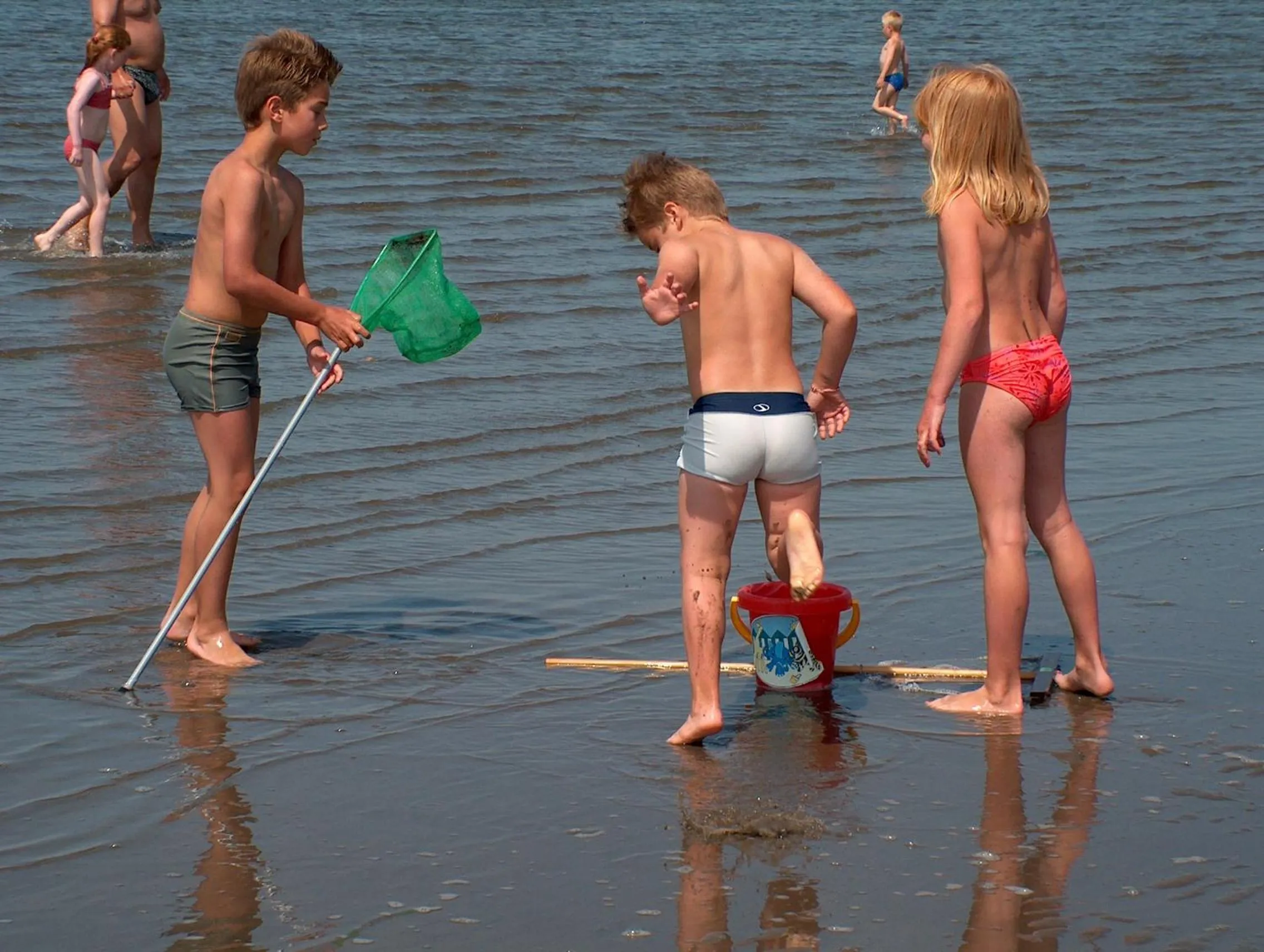 Area and facilities in Bed & Breakfast Van Marion