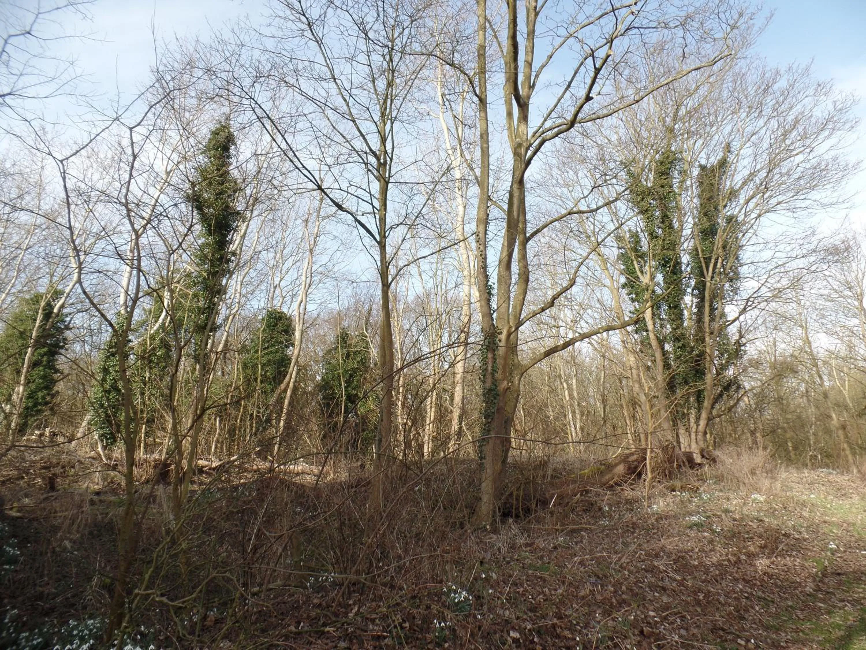 Other in Bed & Breakfast Van Marion