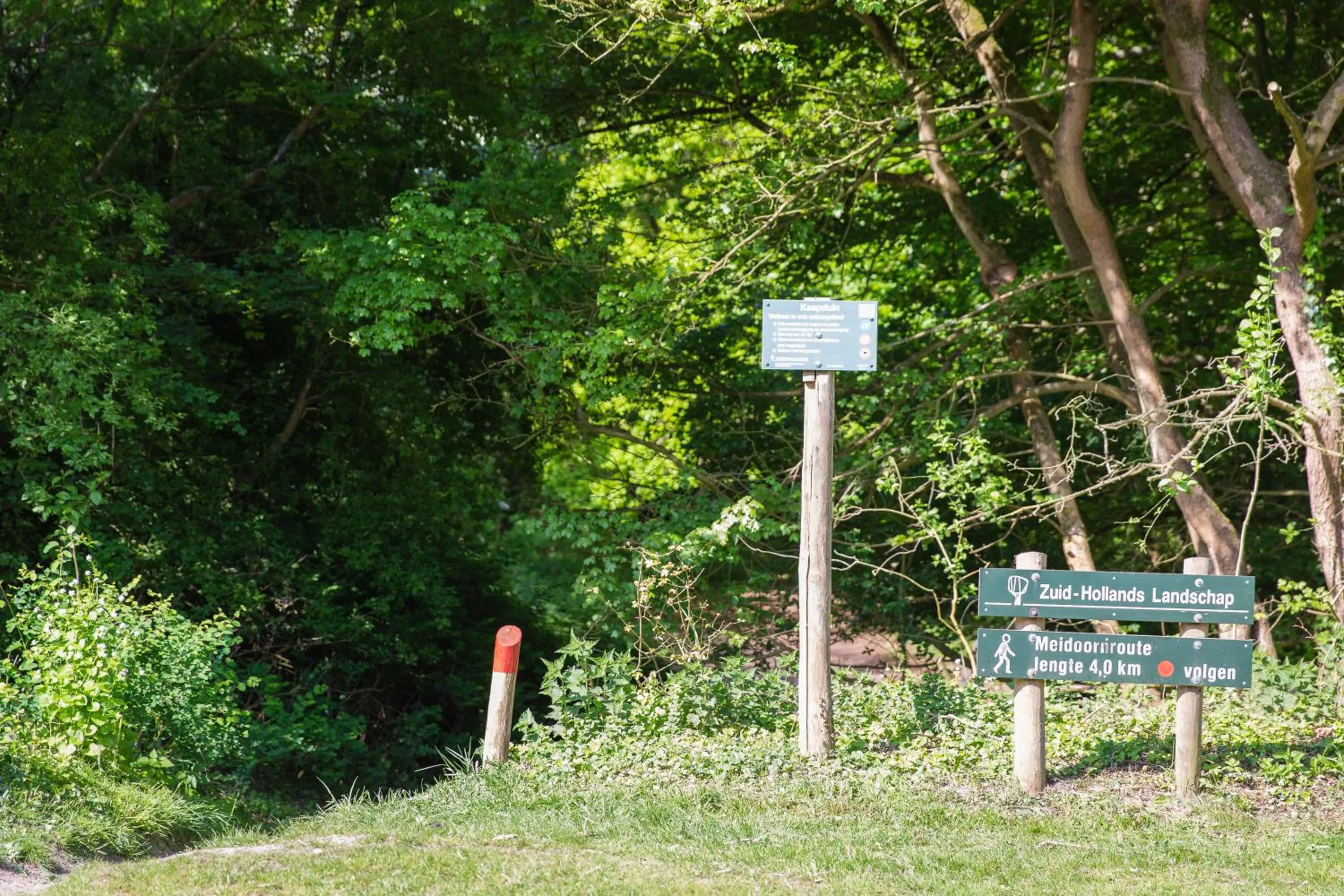 Horse-riding in Bed & Breakfast Van Marion