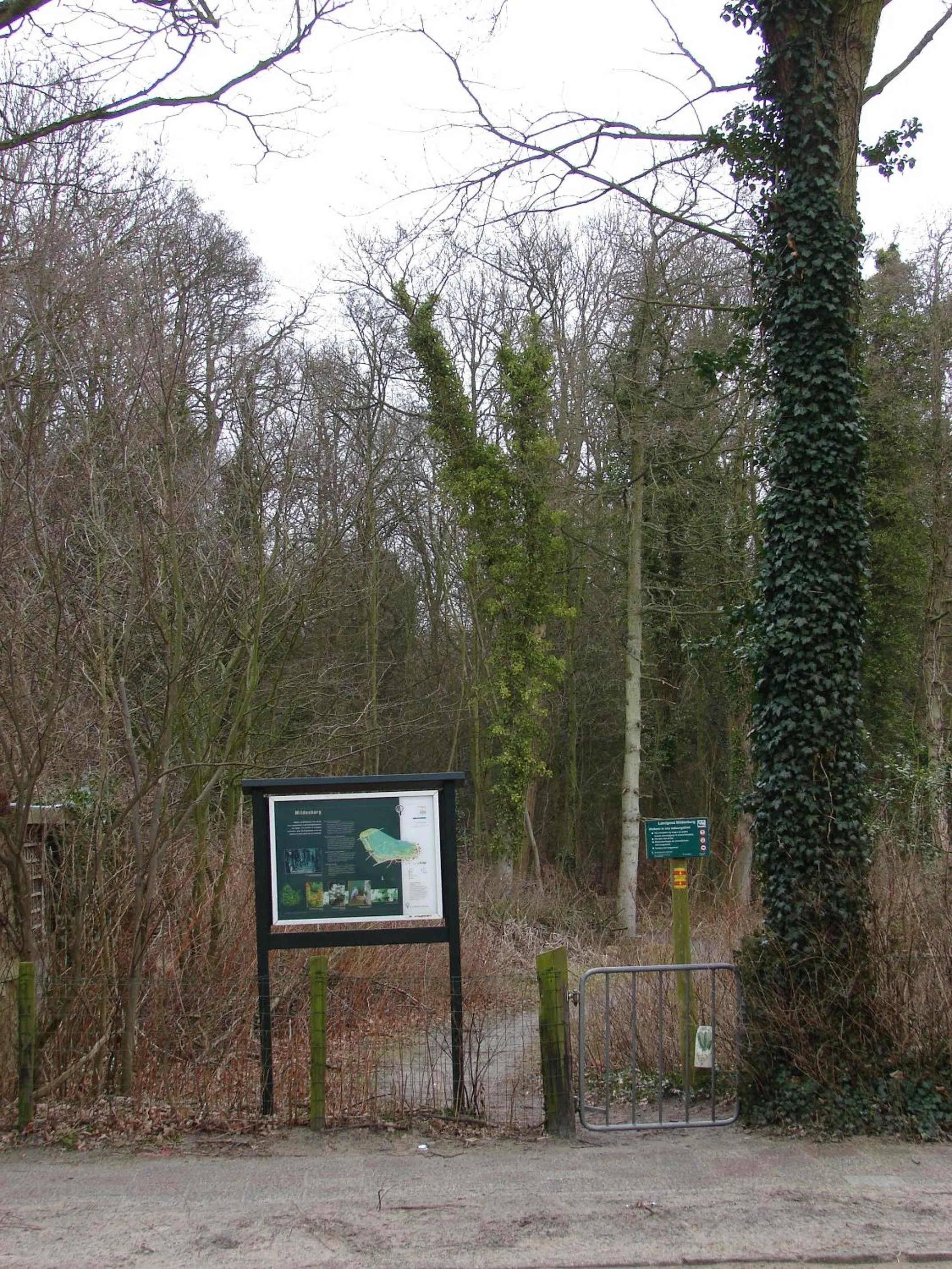 Area and facilities in Bed & Breakfast Van Marion