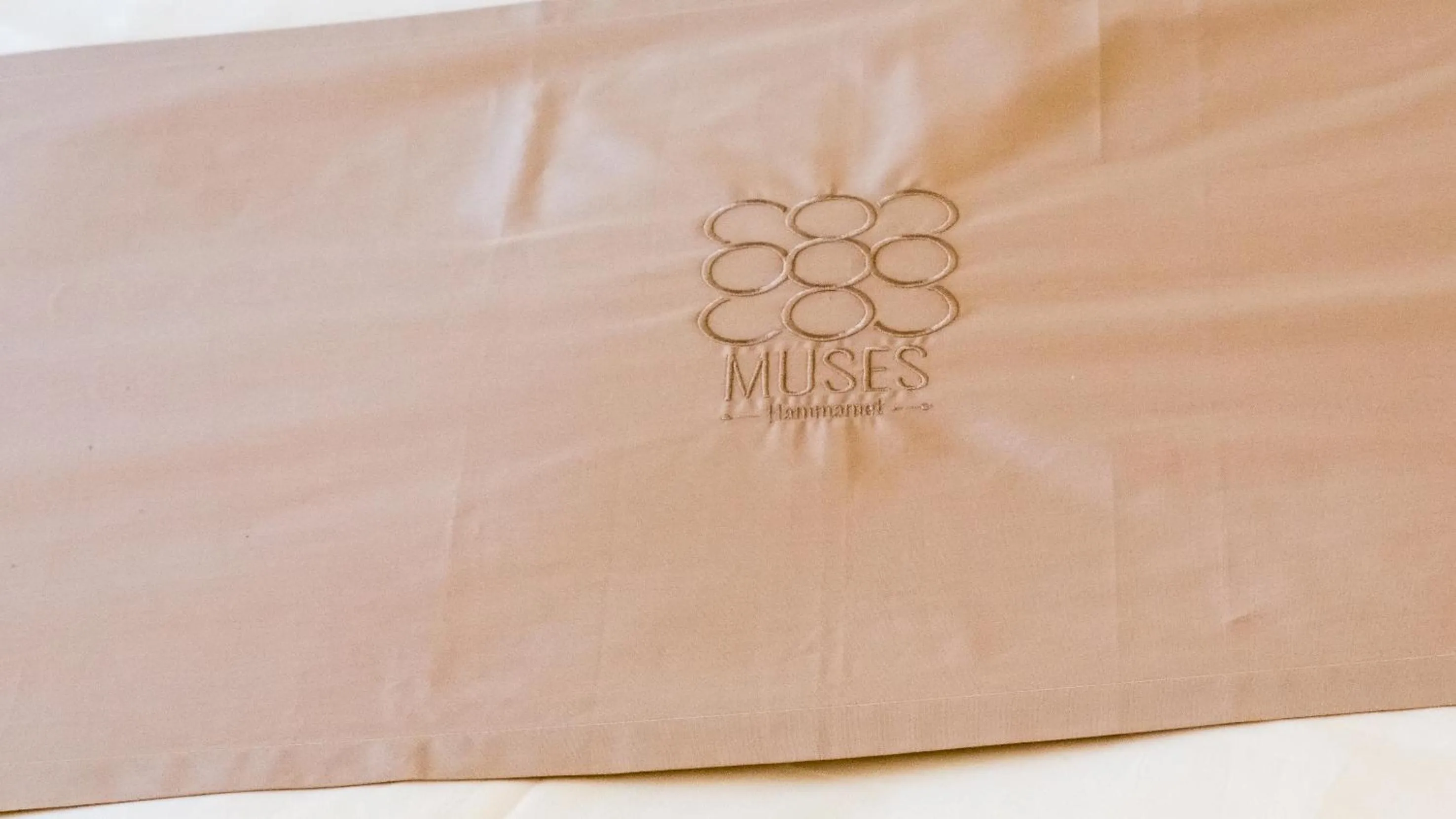 Logo/Certificate/Sign in MUSES Hammamet