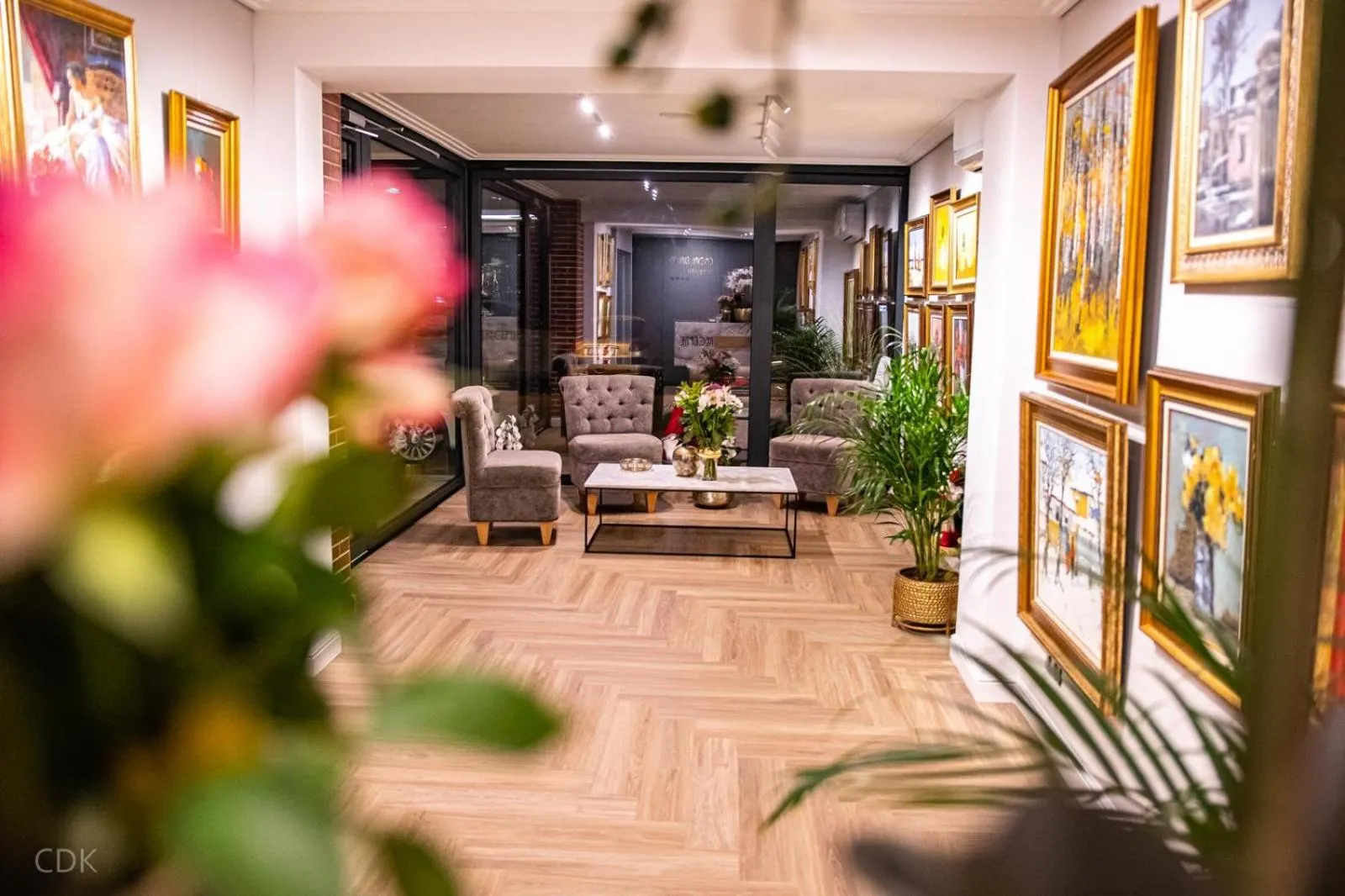 Hotel Casa David