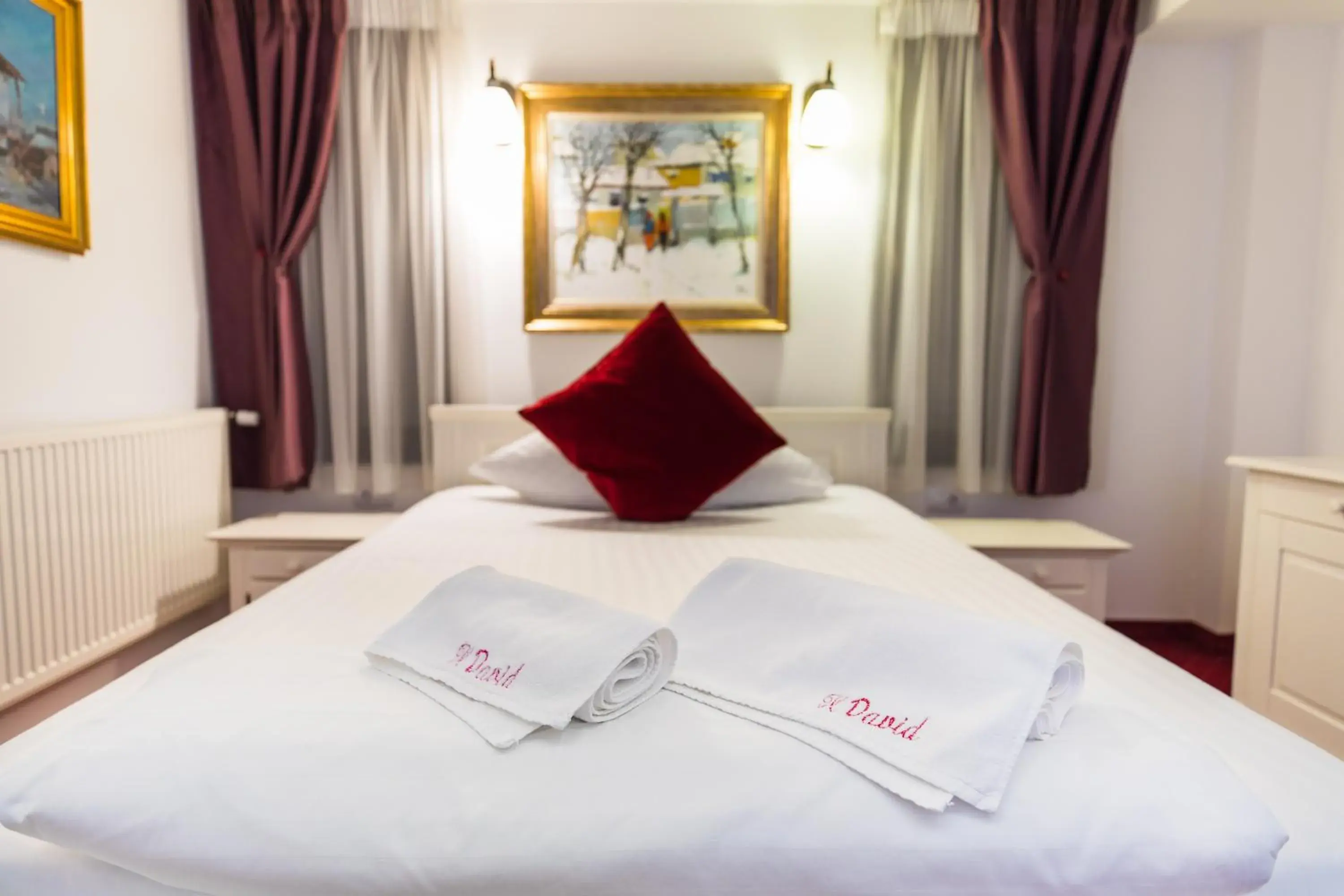 Single Room in Hotel Casa David Single Room in Hotel Casa David