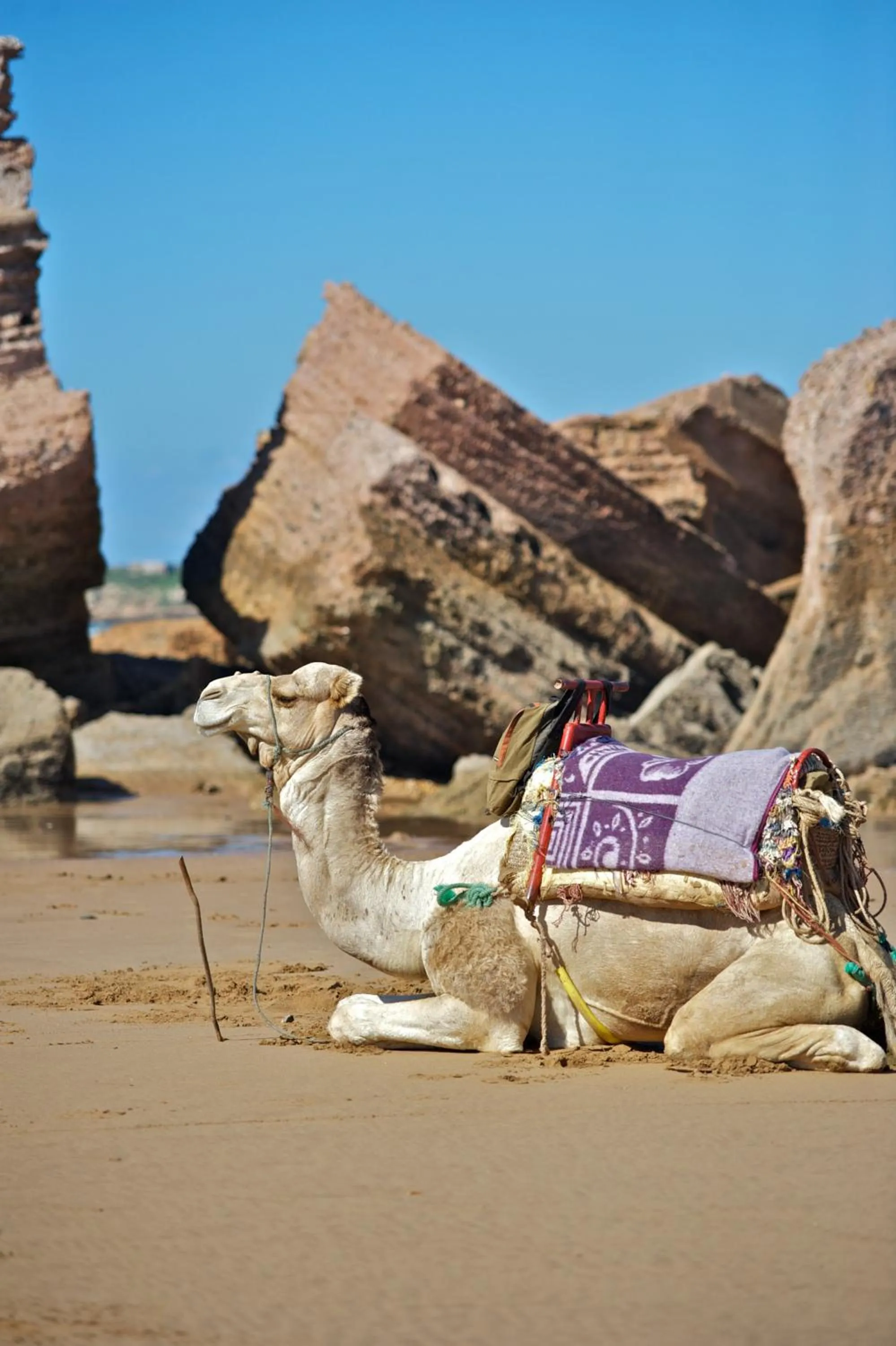 Activities in Riad Dar L'Oussia & SPA