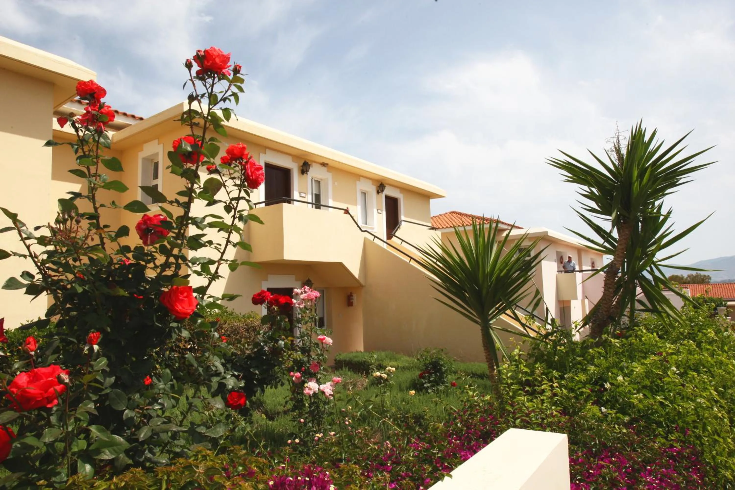 Area and facilities in Akamanthea Holiday Village