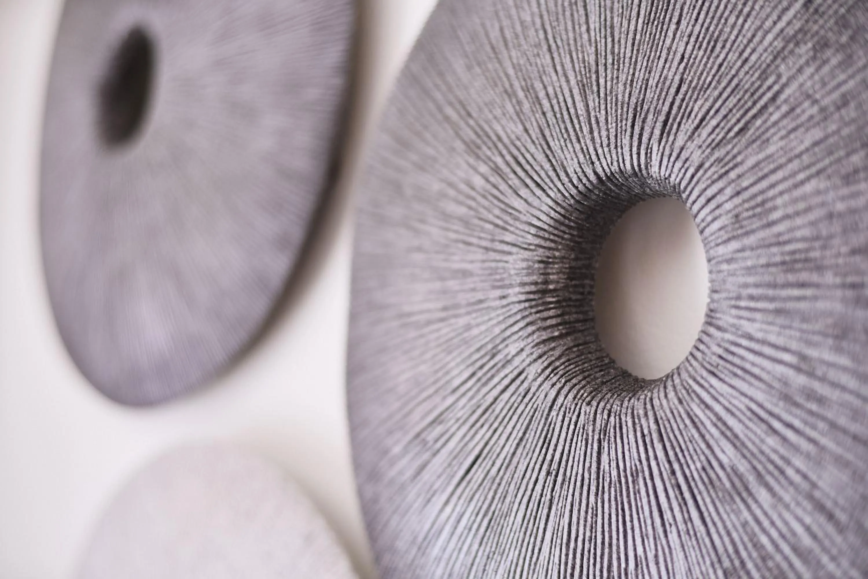 Decorative detail in Chrysalis Boutique - Adults Only