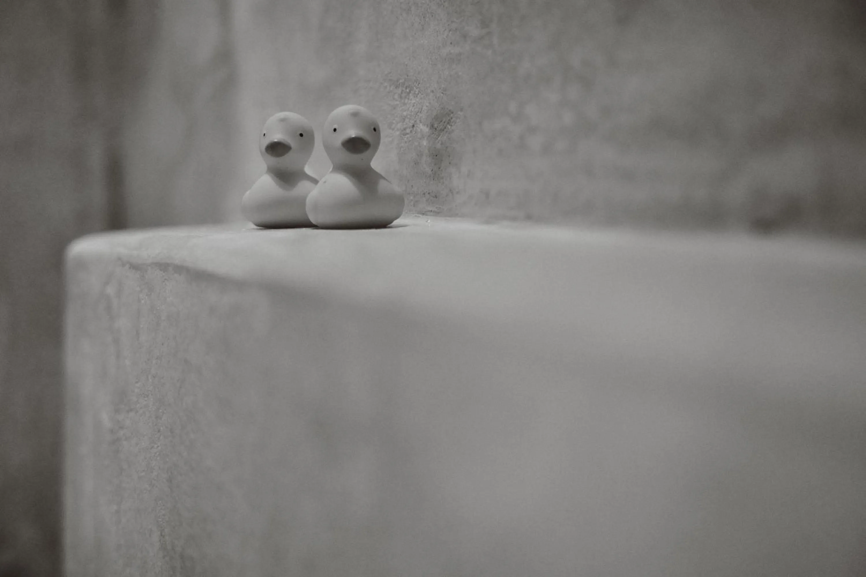 Decorative detail in Chrysalis Boutique - Adults Only