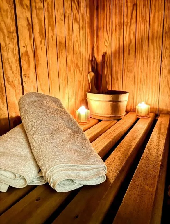 Sauna in Clone House Event Villa